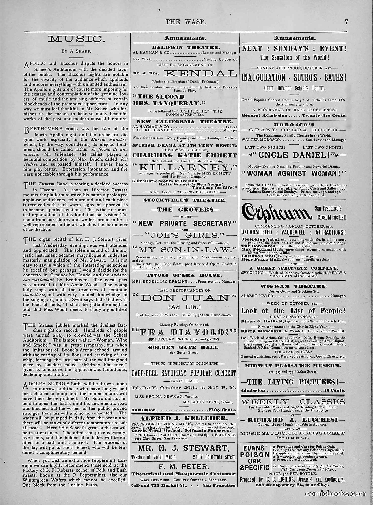 The Wasp — 1894 — page 316 of 524
