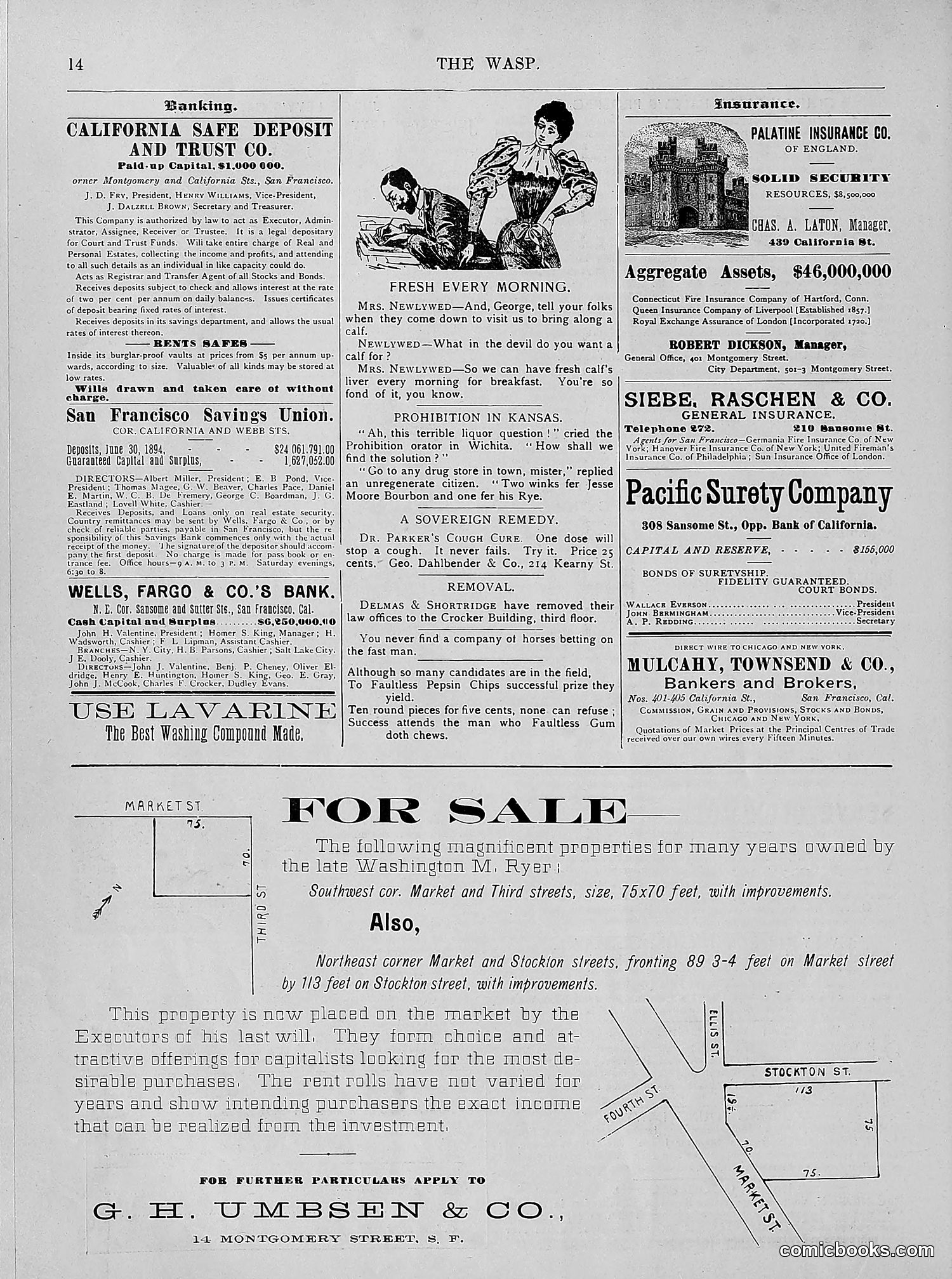 The Wasp — 1894 — page 323 of 524