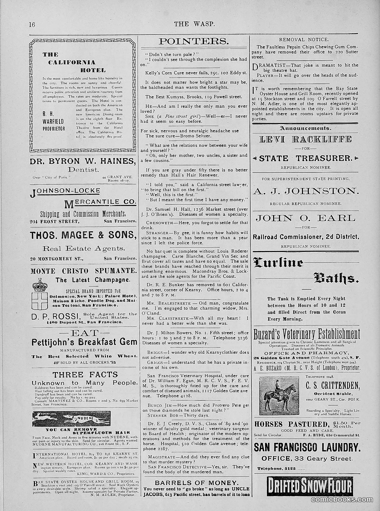 The Wasp — 1894 — page 325 of 524