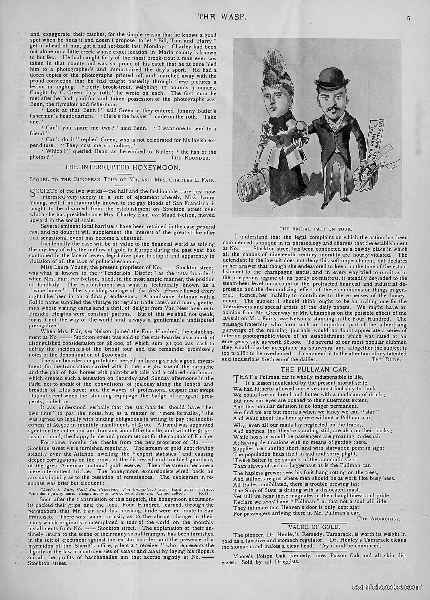 The Wasp — 1894 — page 34 of 524