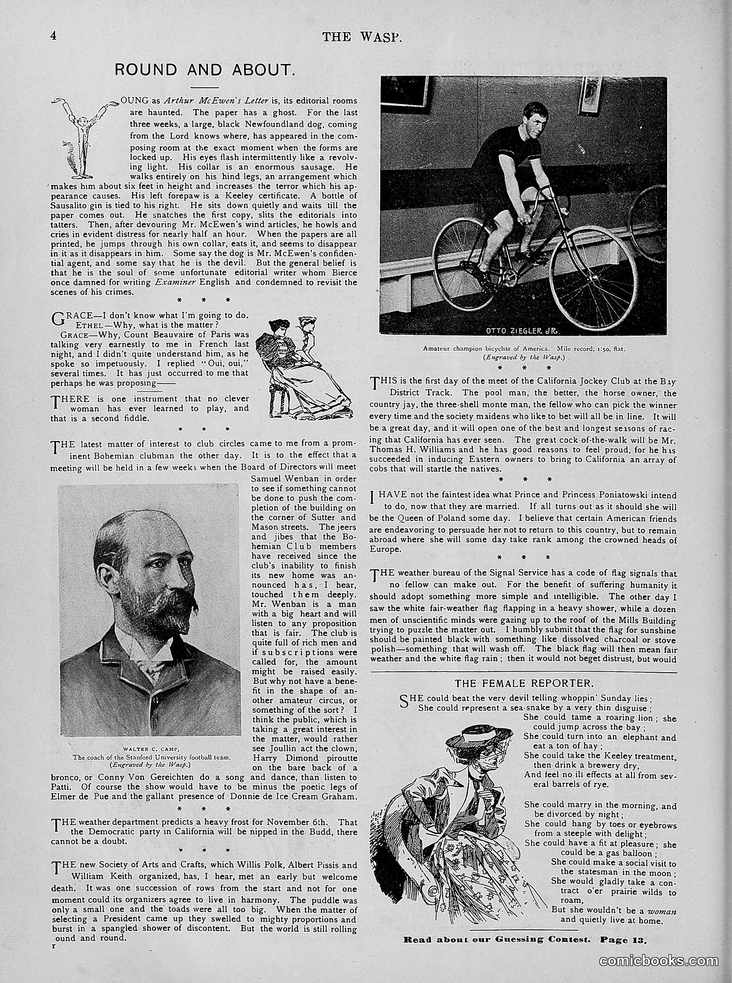 The Wasp — 1894 — page 333 of 524