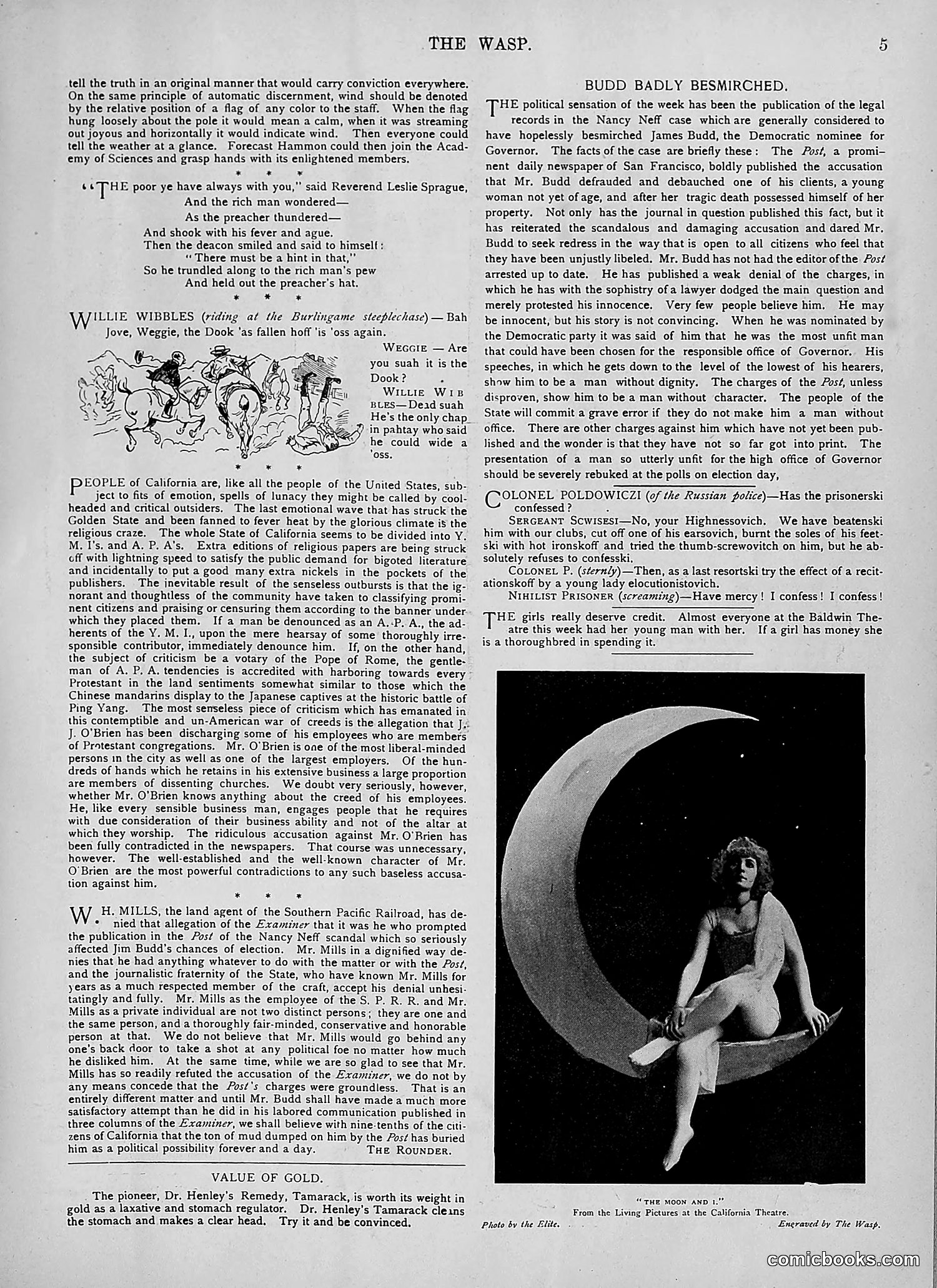 The Wasp — 1894 — page 334 of 524