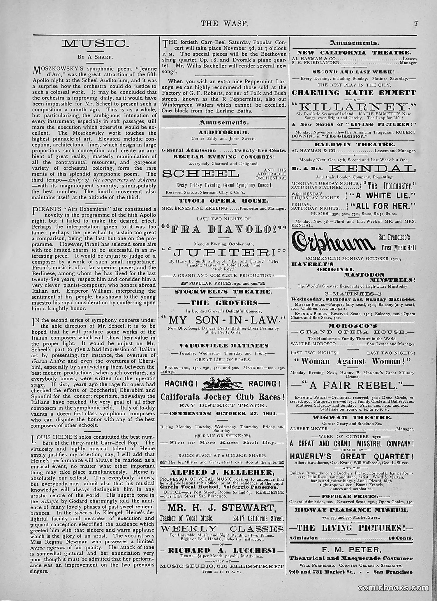 The Wasp — 1894 — page 336 of 524