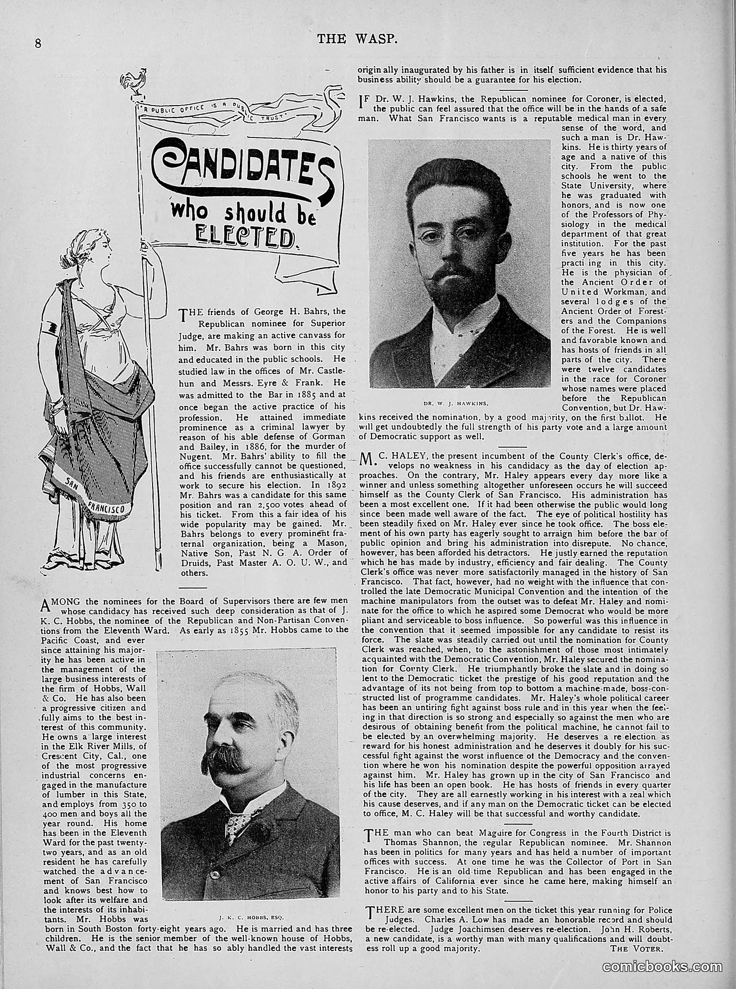 The Wasp — 1894 — page 337 of 524