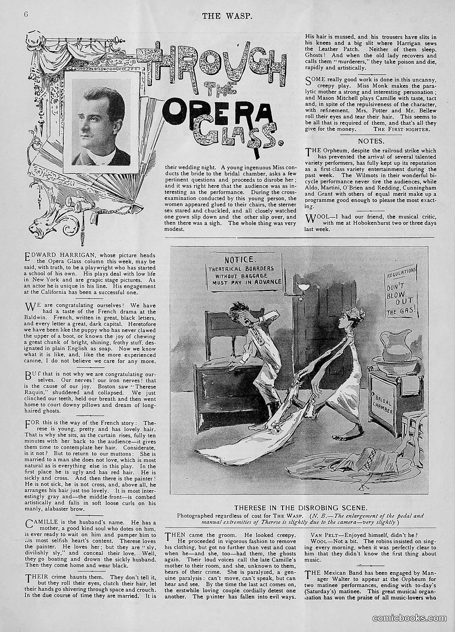 The Wasp — 1894 — page 35 of 524