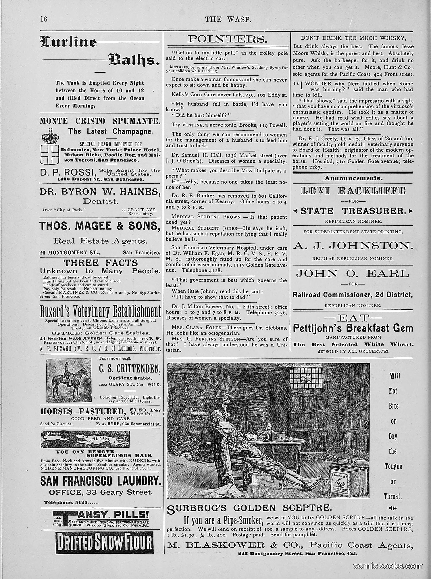The Wasp — 1894 — page 345 of 524