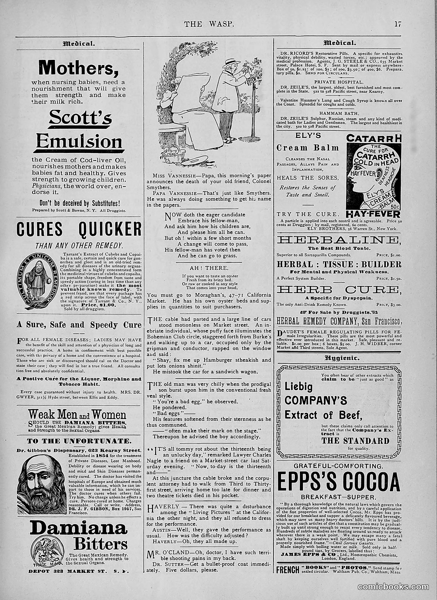 The Wasp — 1894 — page 346 of 524