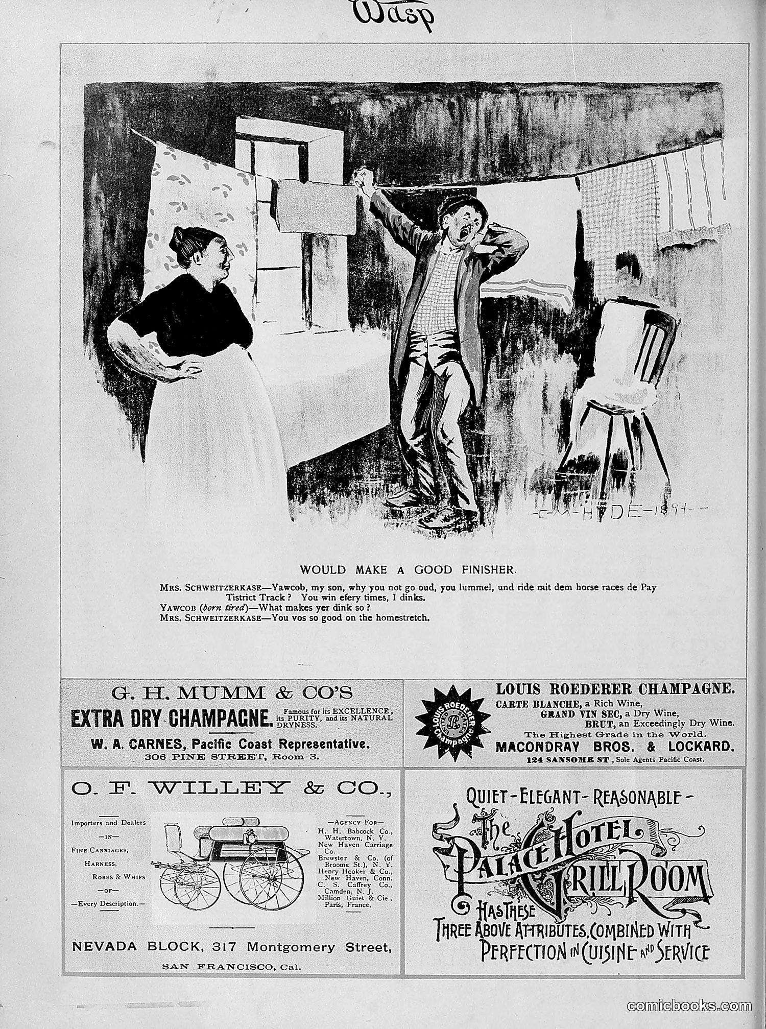 The Wasp — 1894 — page 349 of 524