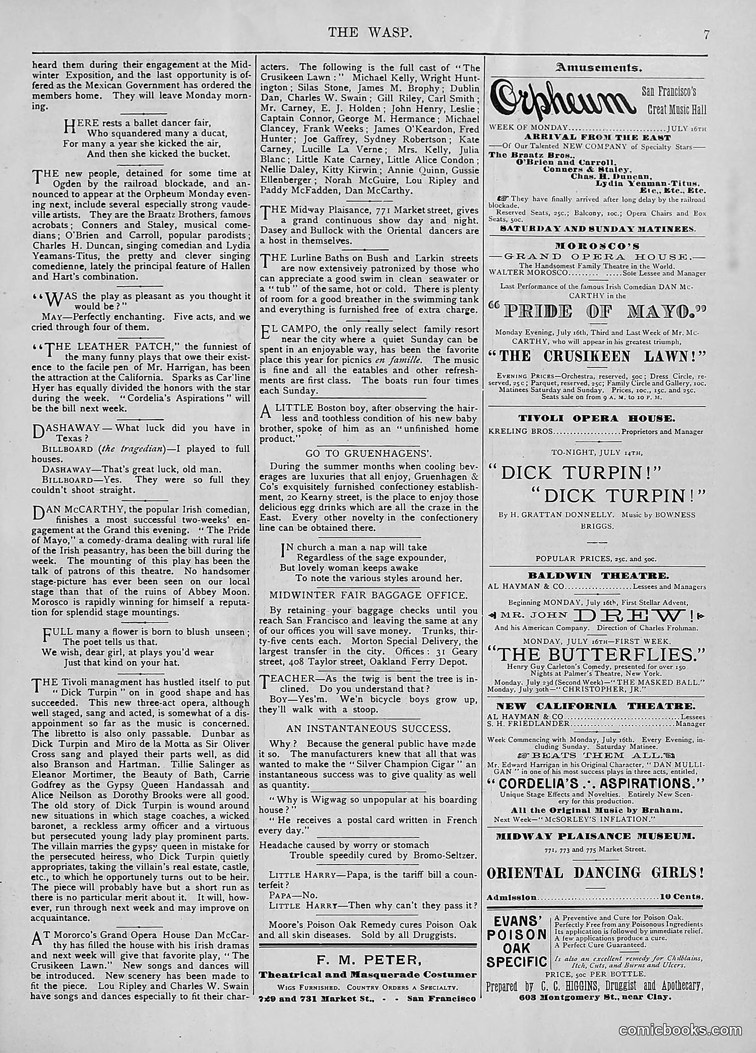 The Wasp — 1894 — page 36 of 524