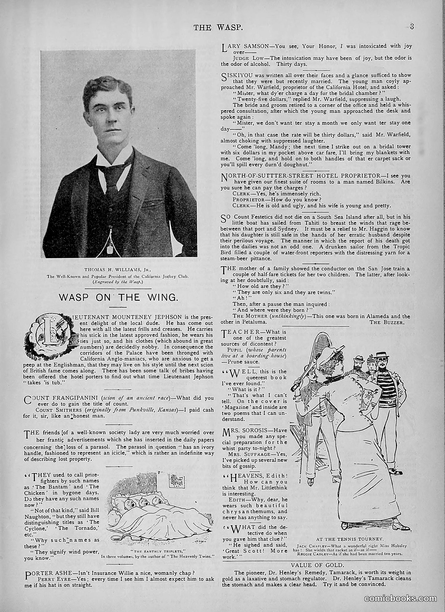 The Wasp — 1894 — page 352 of 524