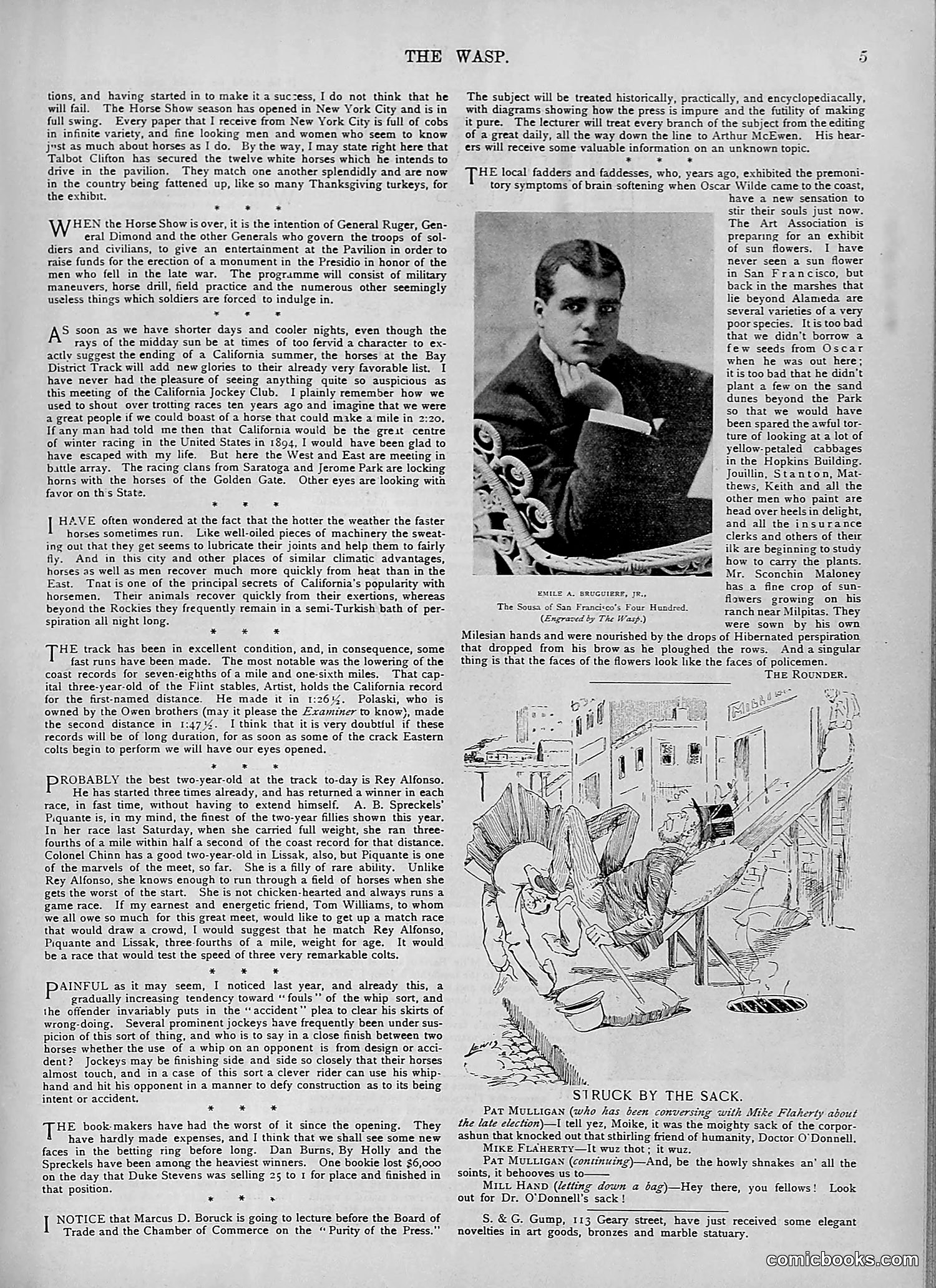 The Wasp — 1894 — page 354 of 524