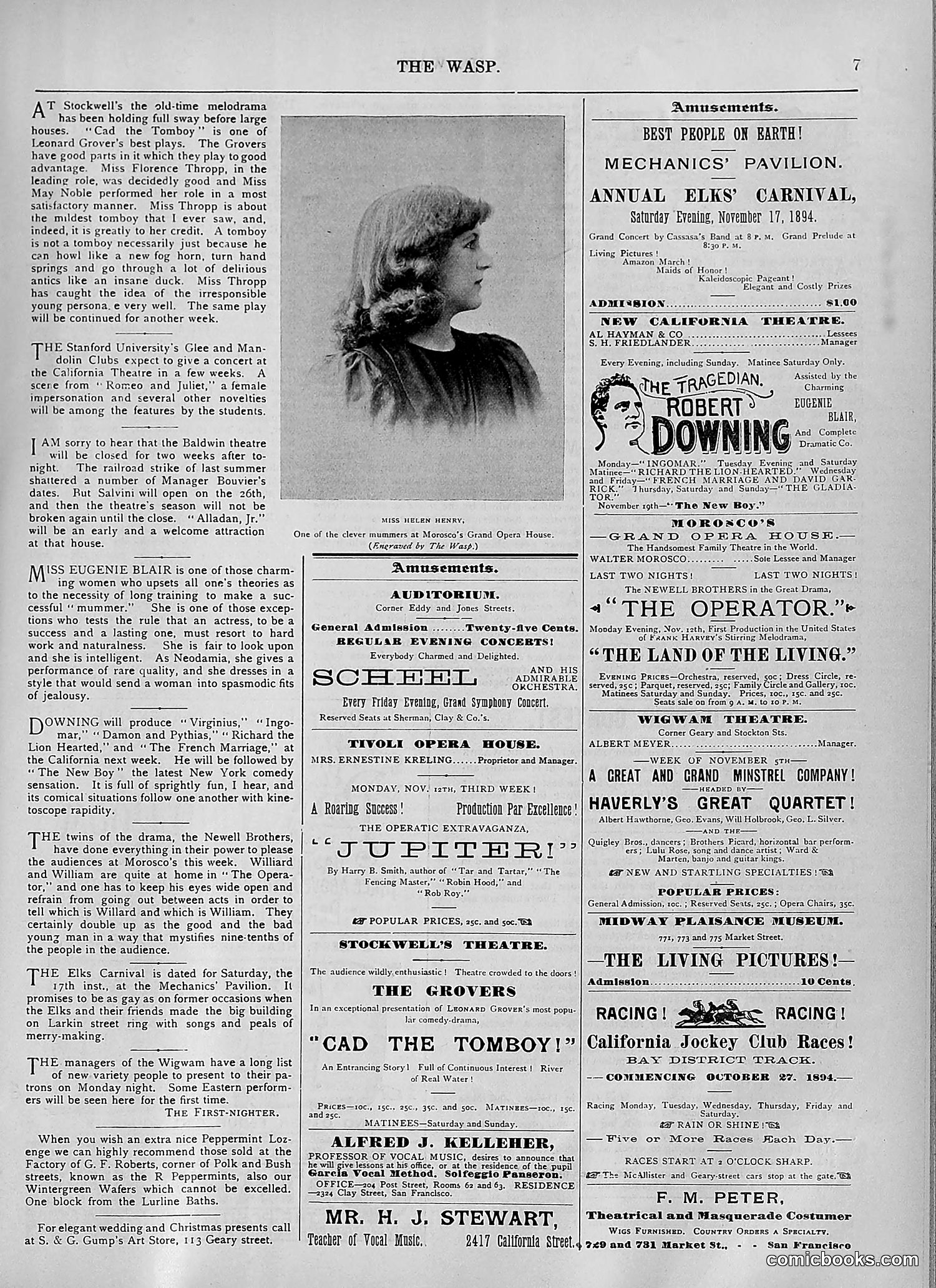 The Wasp — 1894 — page 356 of 524