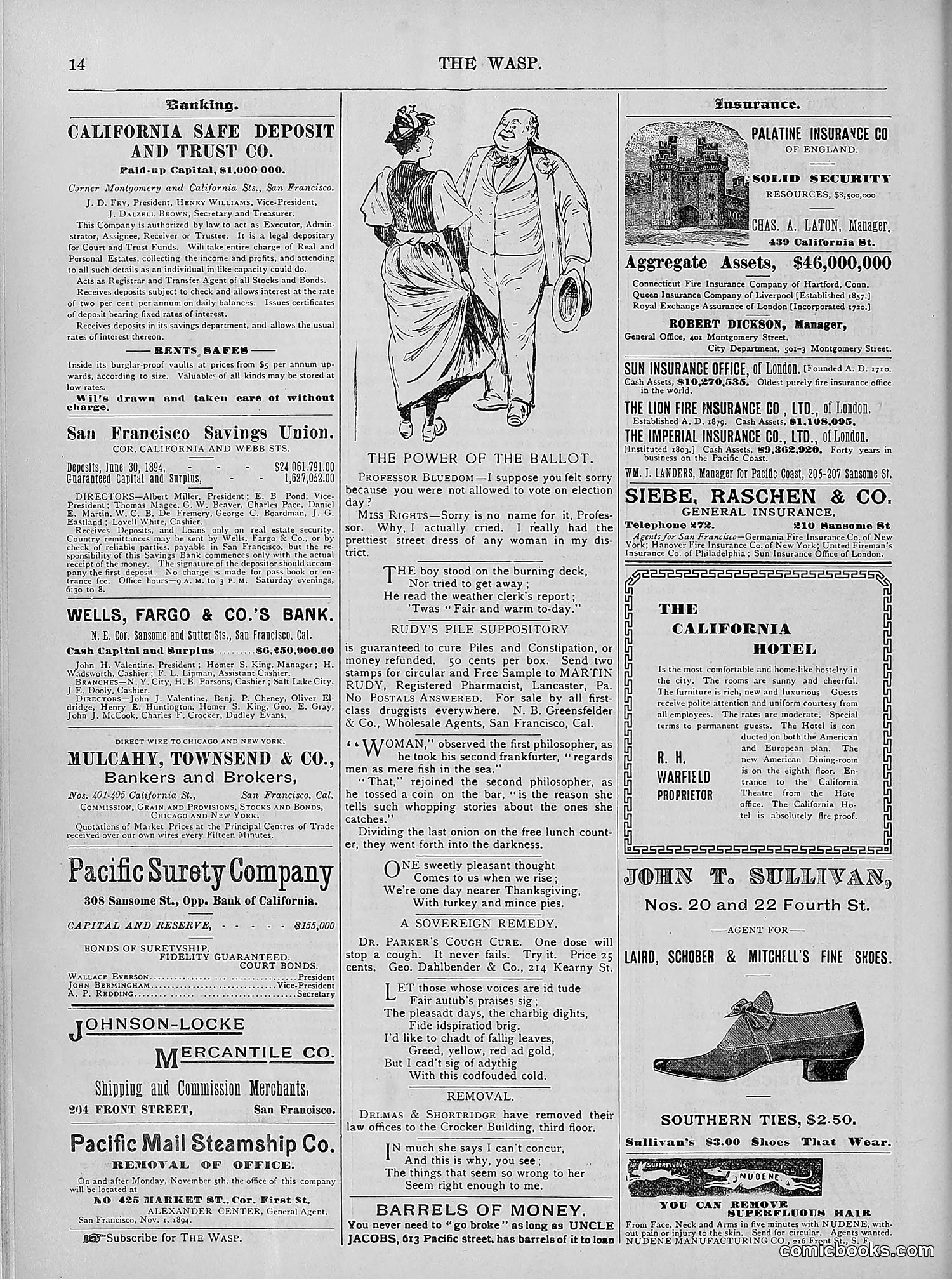 The Wasp — 1894 — page 363 of 524