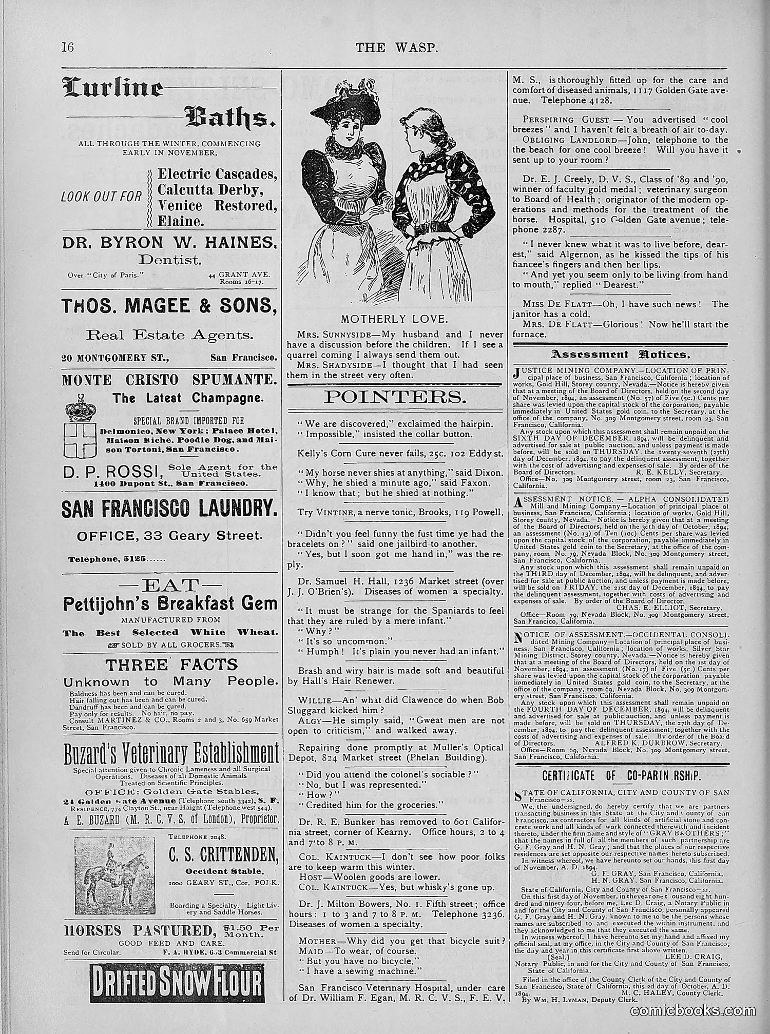The Wasp — 1894 — page 365 of 524