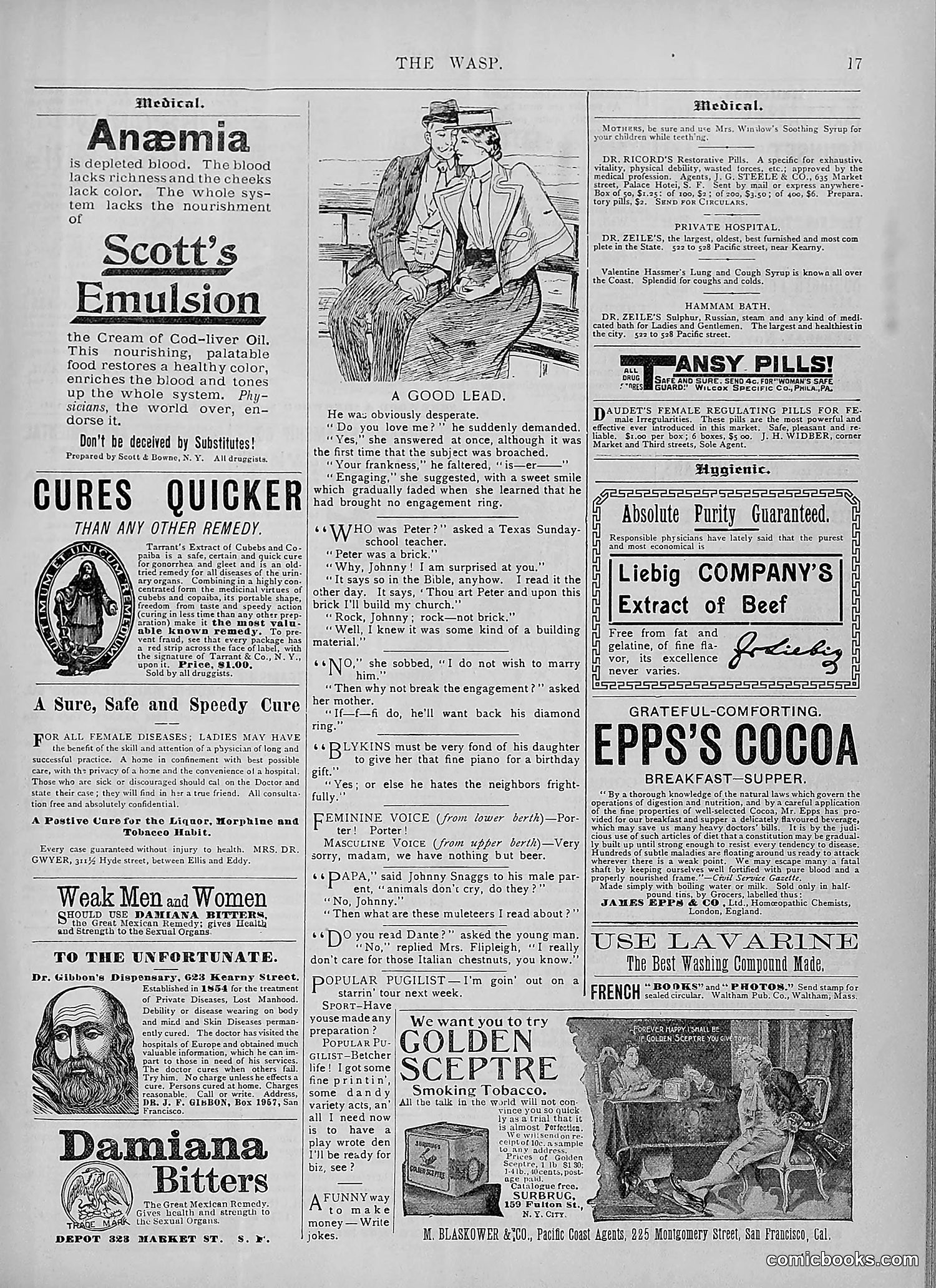 The Wasp — 1894 — page 366 of 524
