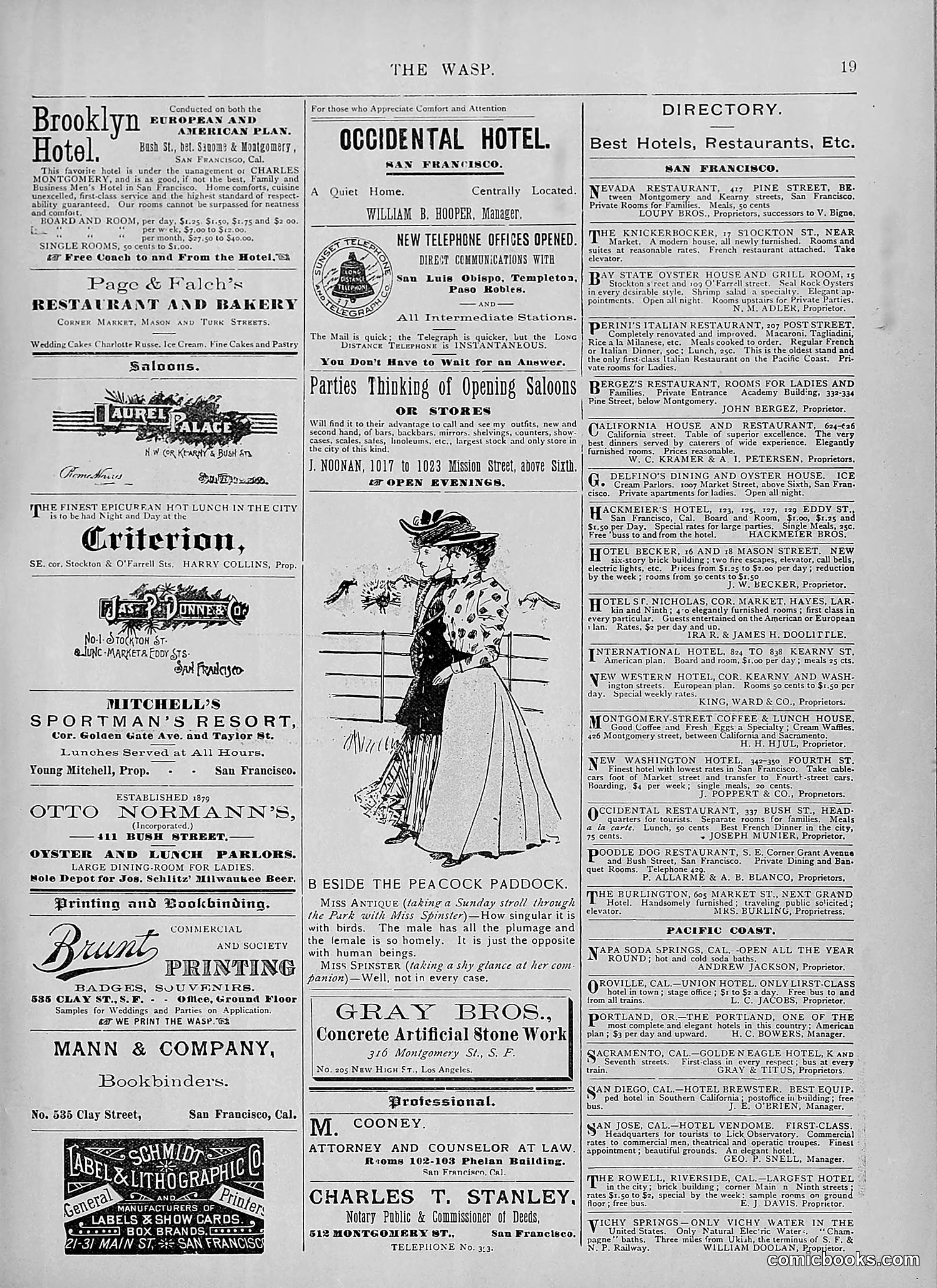 The Wasp — 1894 — page 368 of 524