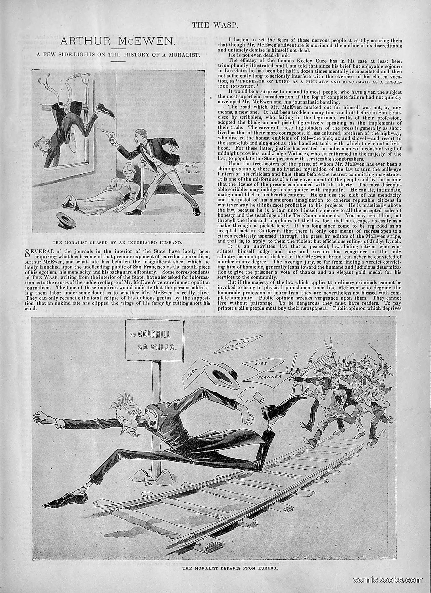 The Wasp — 1894 — page 372 of 524