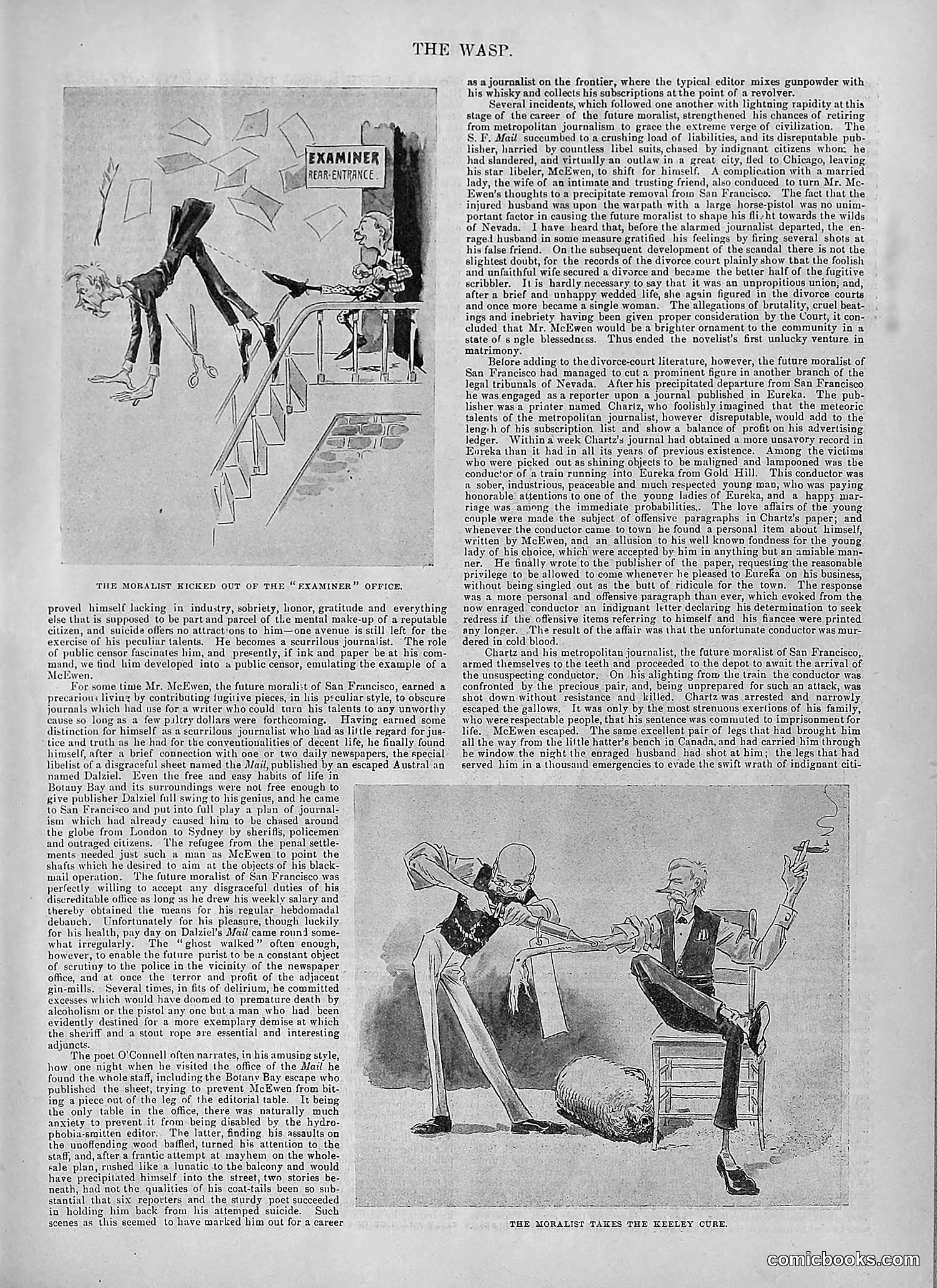 The Wasp — 1894 — page 374 of 524