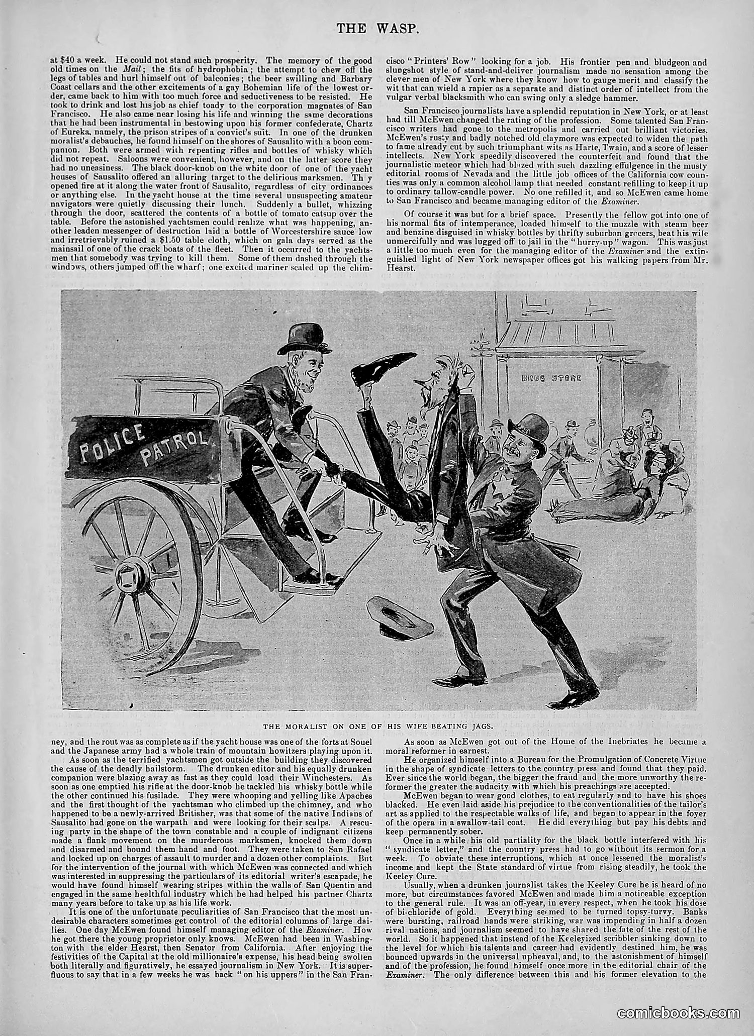 The Wasp — 1894 — page 376 of 524