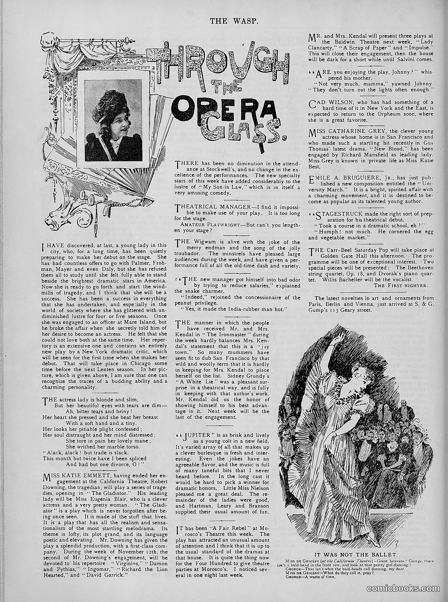 The Wasp — 1894 — page 381 of 524