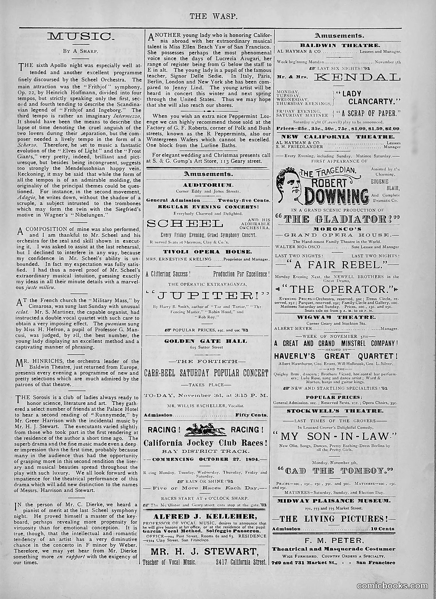 The Wasp — 1894 — page 382 of 524