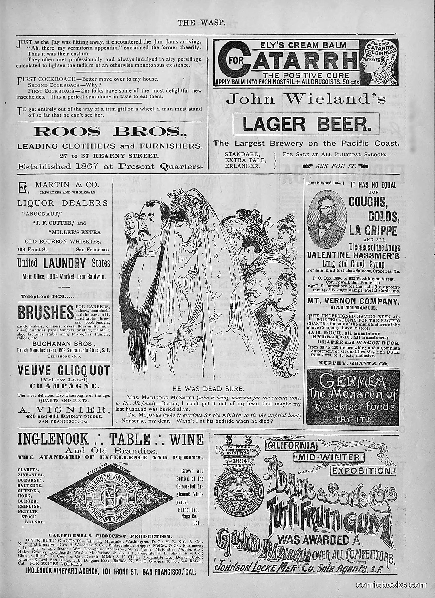 The Wasp — 1894 — page 384 of 524