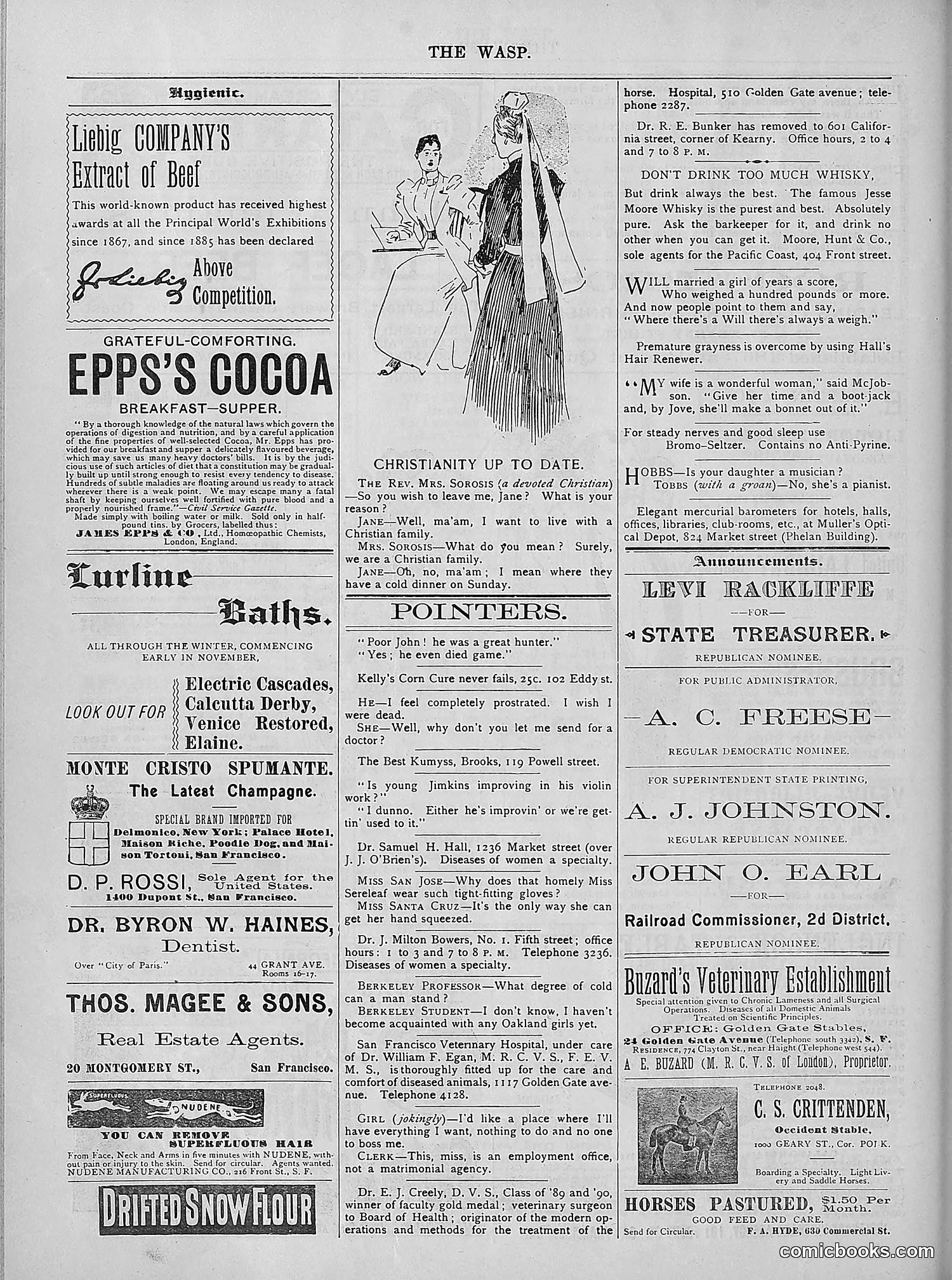 The Wasp — 1894 — page 385 of 524