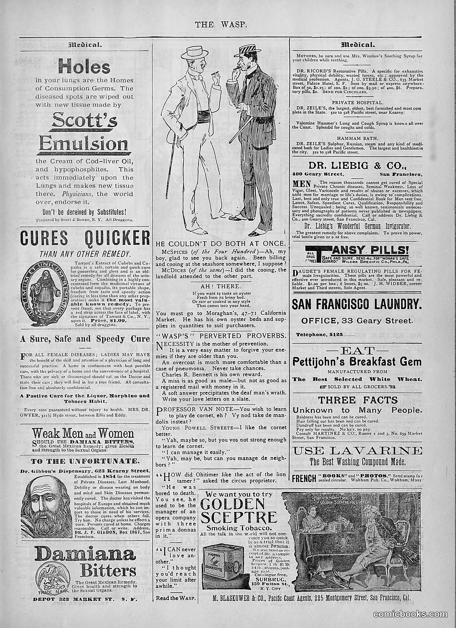 The Wasp — 1894 — page 386 of 524