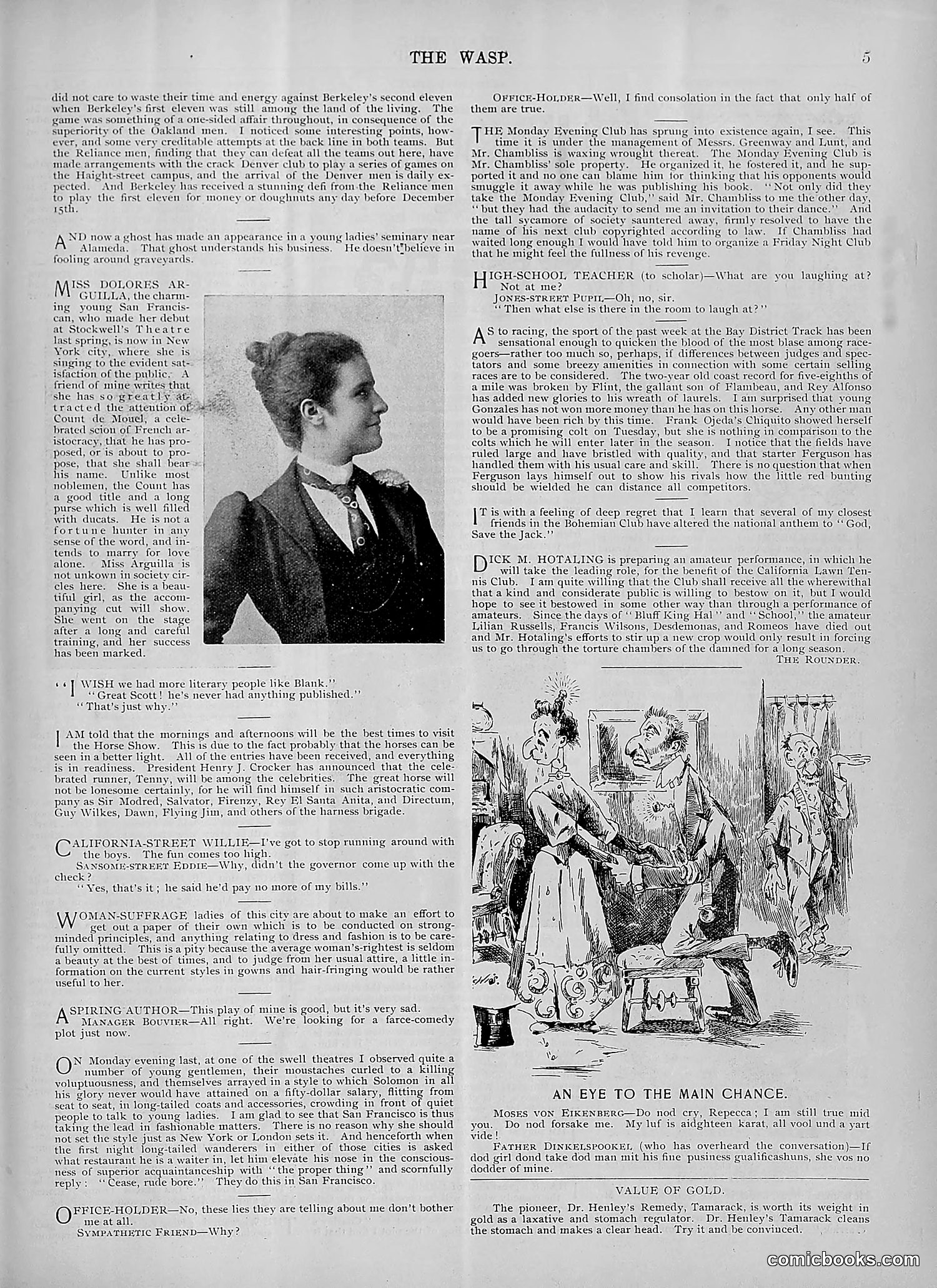 The Wasp — 1894 — page 394 of 524