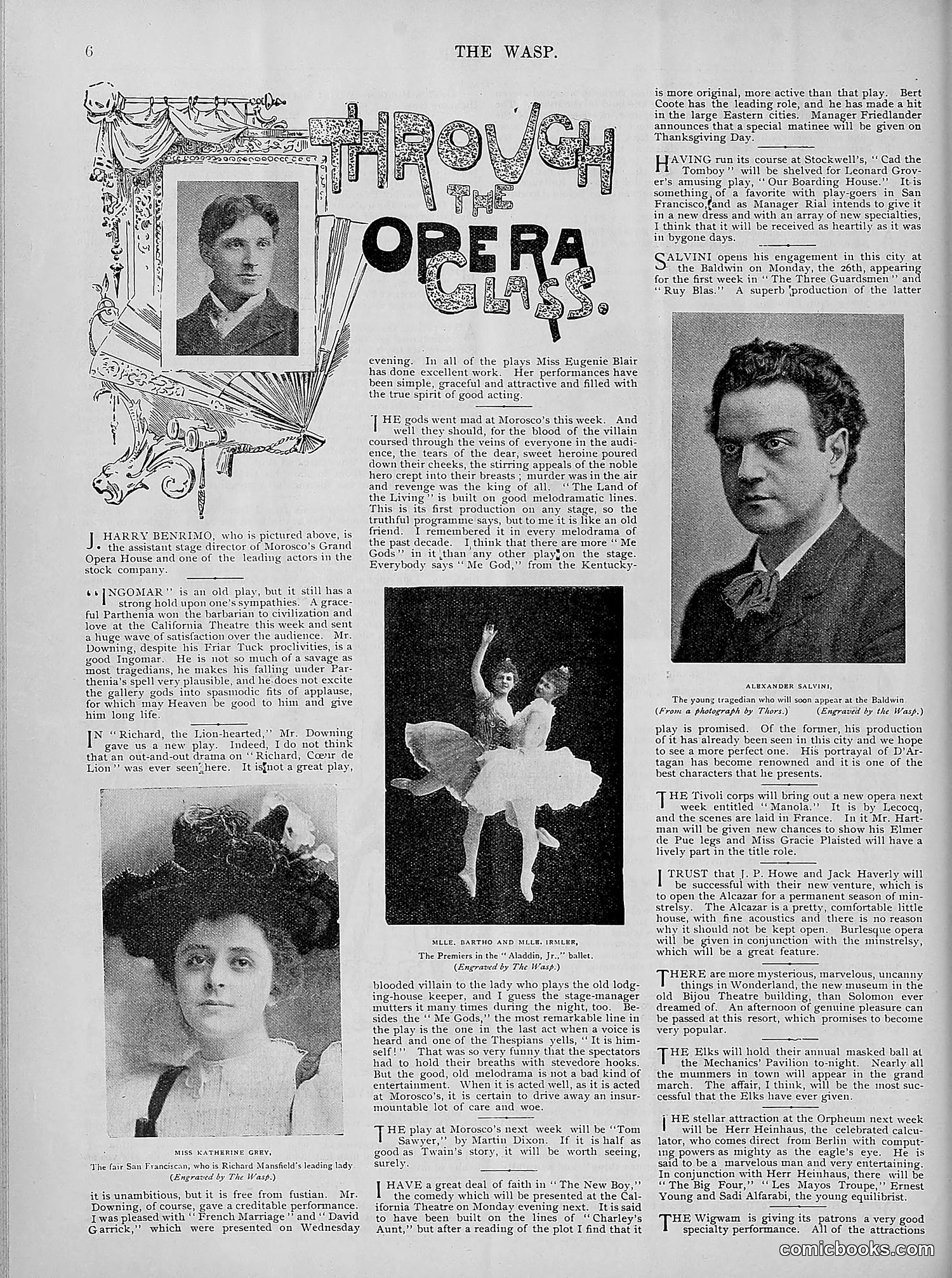 The Wasp — 1894 — page 395 of 524