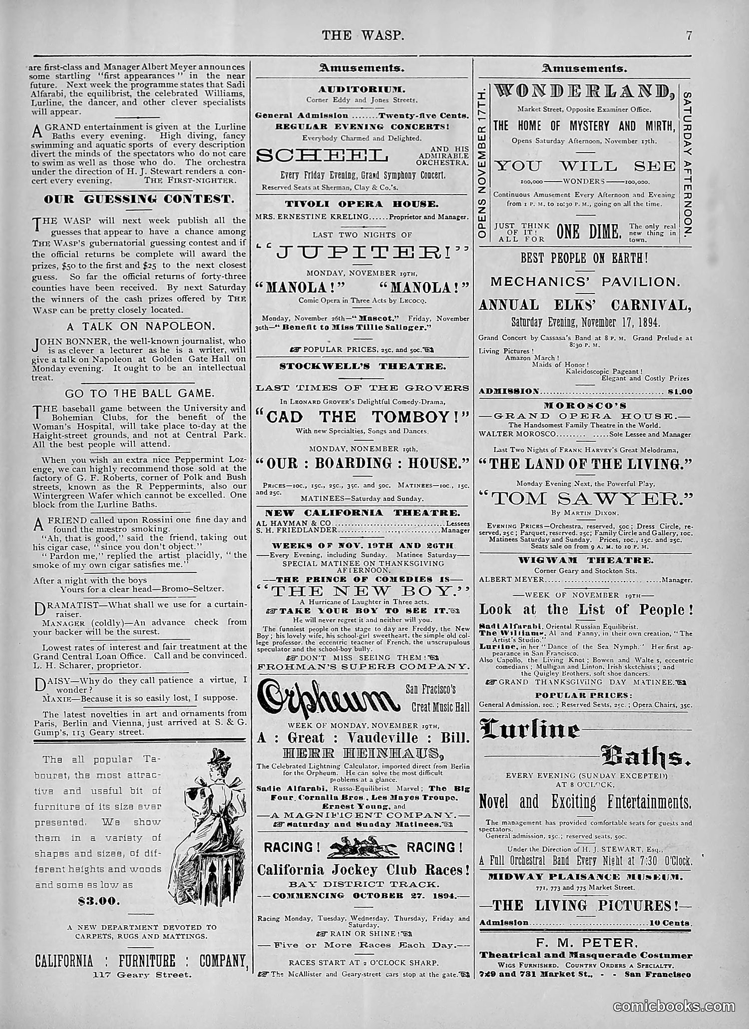 The Wasp — 1894 — page 396 of 524
