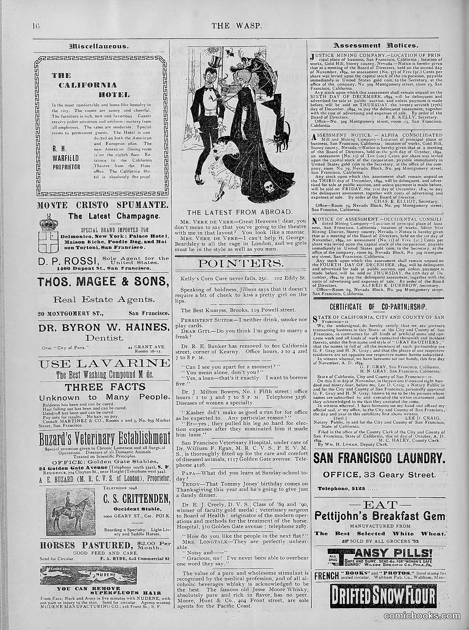 The Wasp — 1894 — page 405 of 524