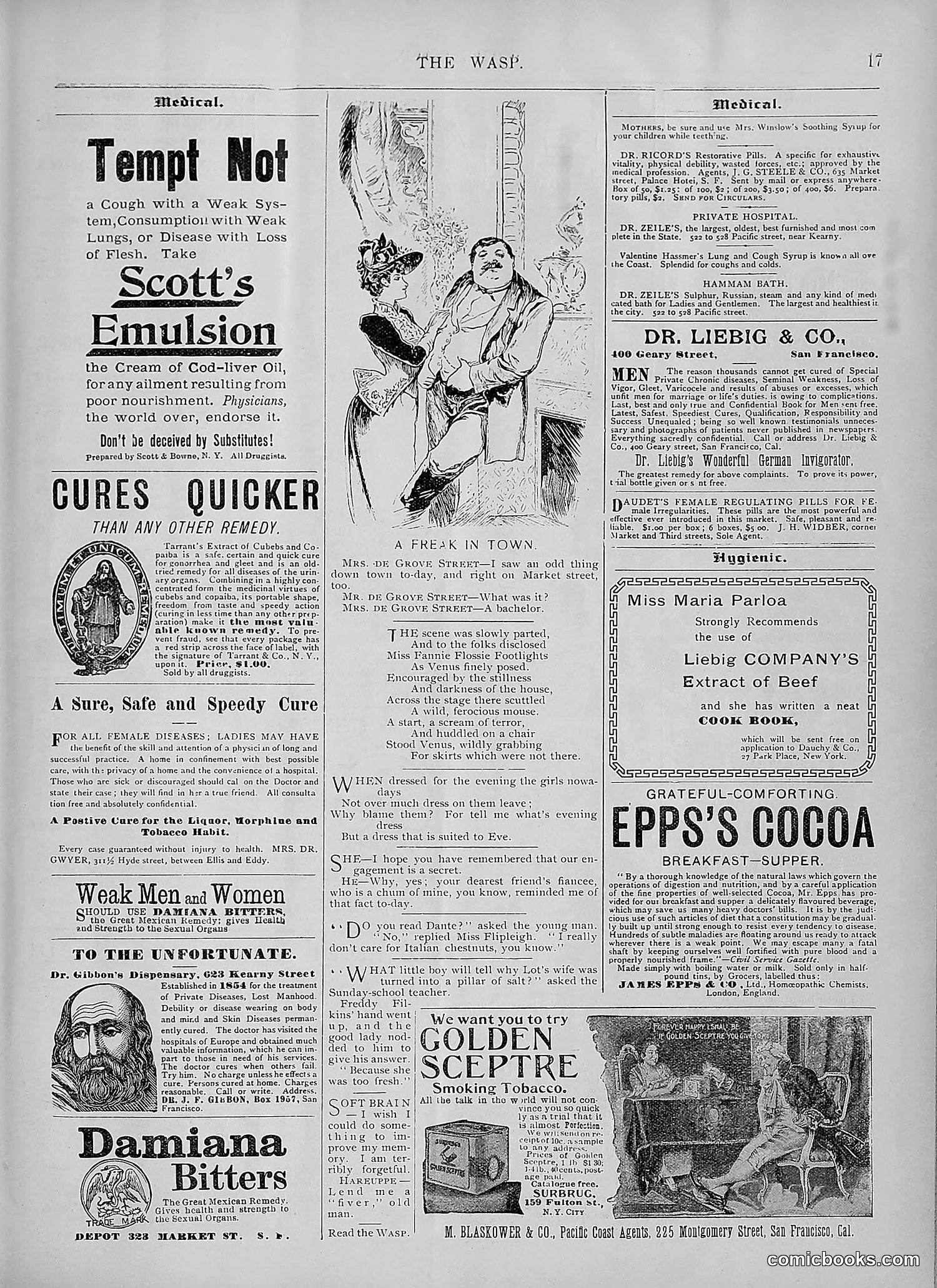 The Wasp — 1894 — page 406 of 524