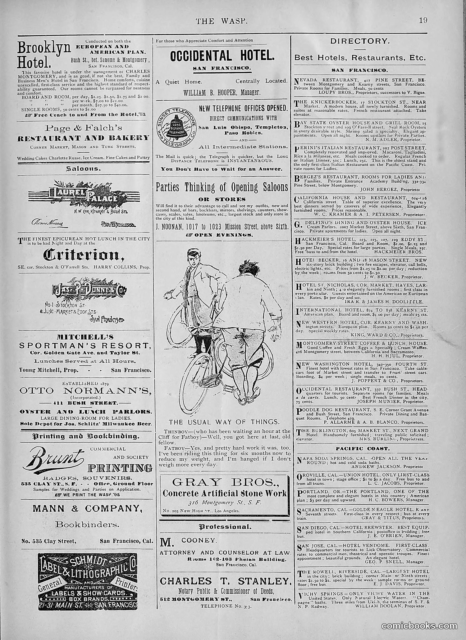 The Wasp — 1894 — page 408 of 524