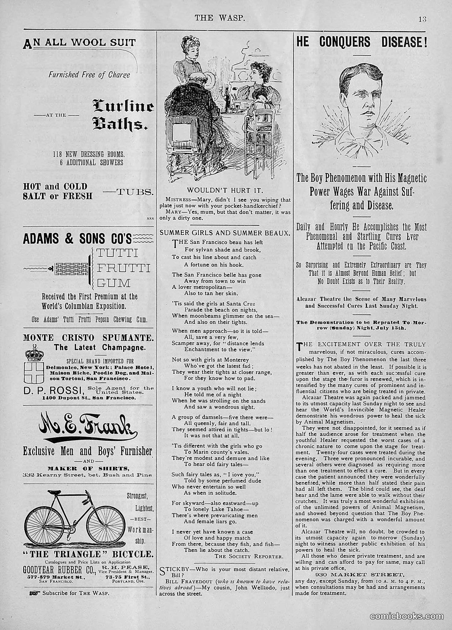 The Wasp — 1894 — page 42 of 524