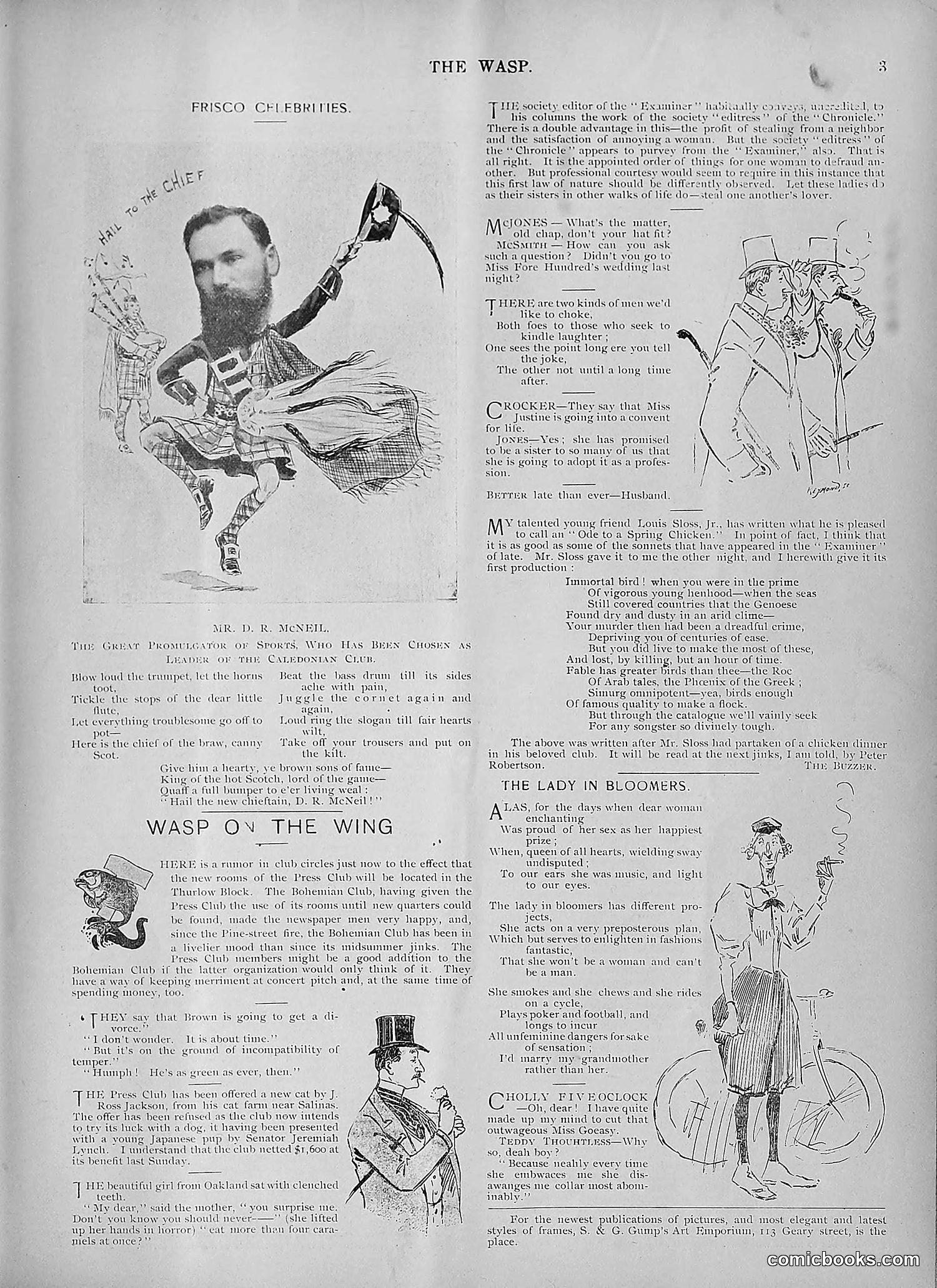 The Wasp — 1894 — page 412 of 524