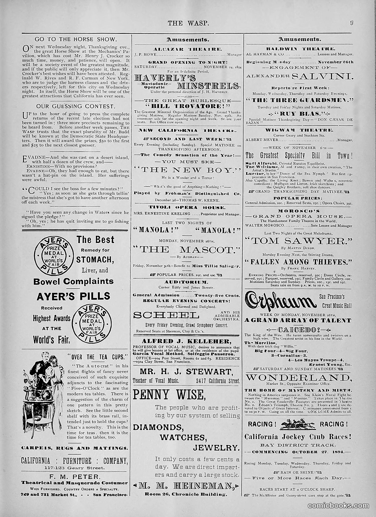 The Wasp — 1894 — page 418 of 524
