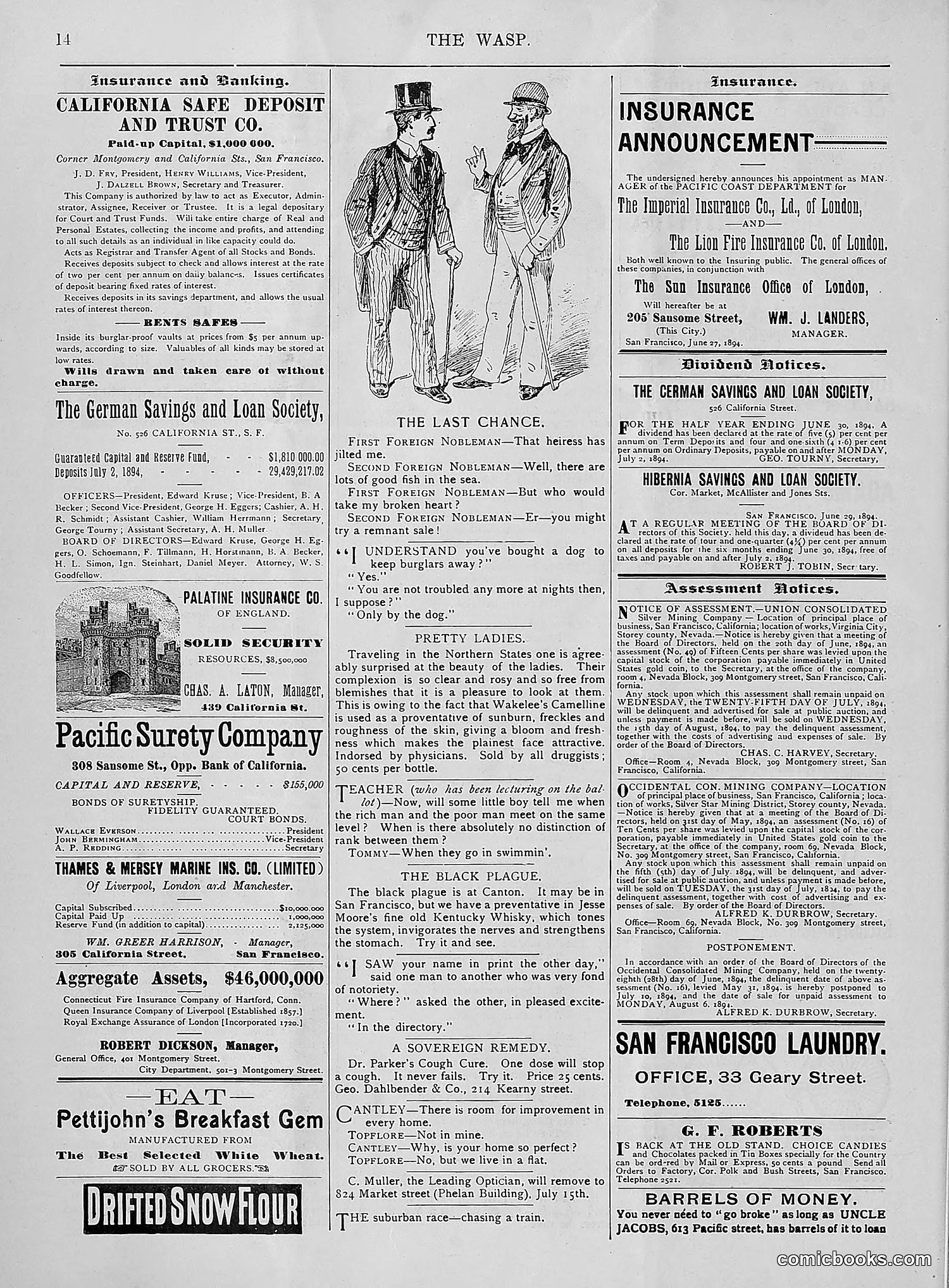 The Wasp — 1894 — page 43 of 524