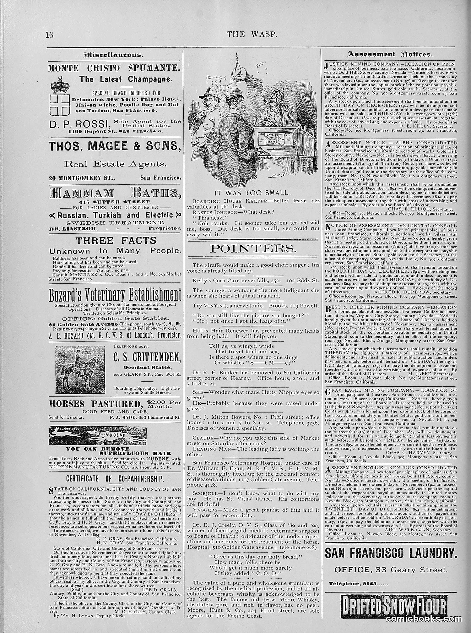 The Wasp — 1894 — page 425 of 524
