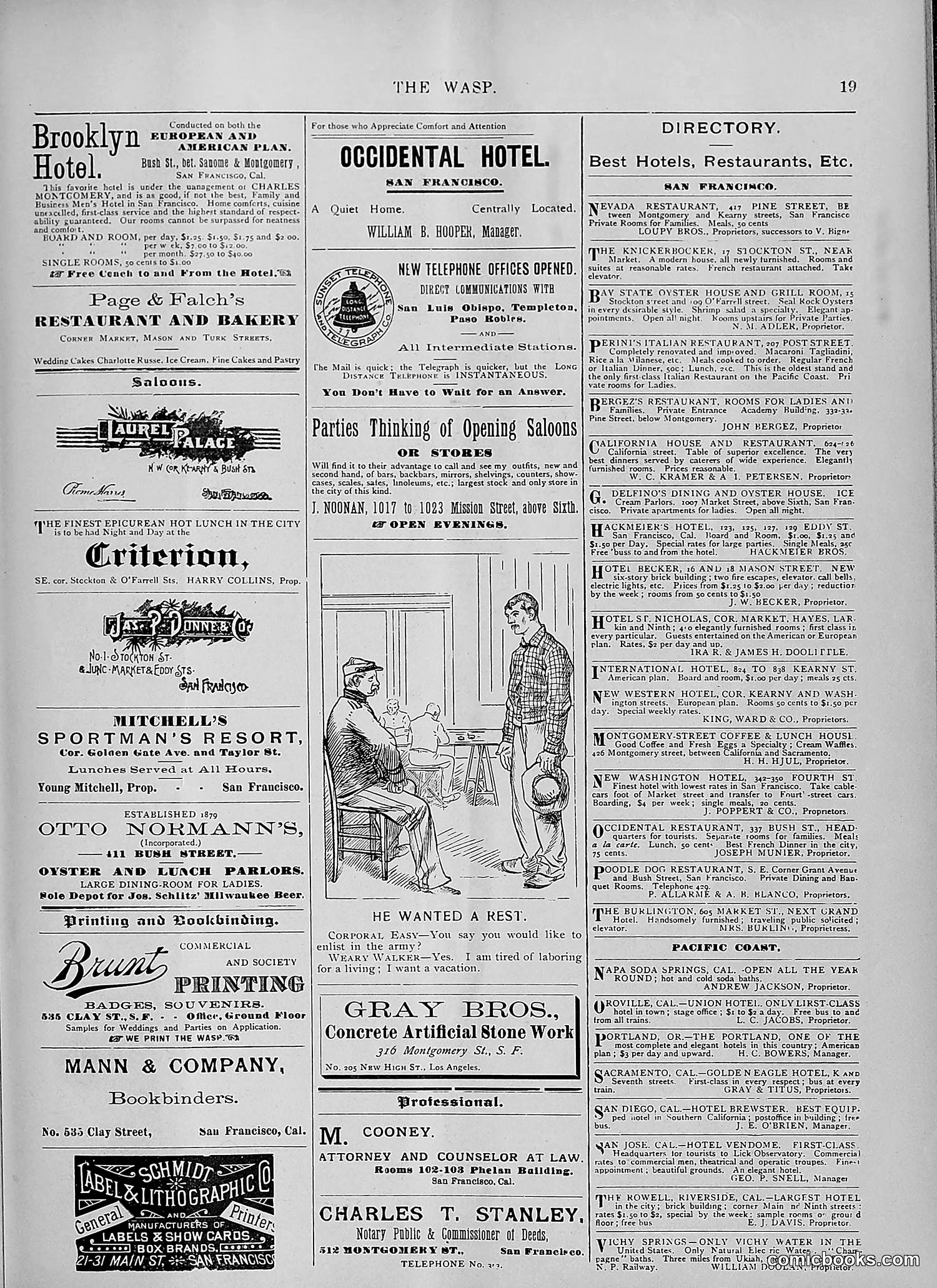 The Wasp — 1894 — page 428 of 524