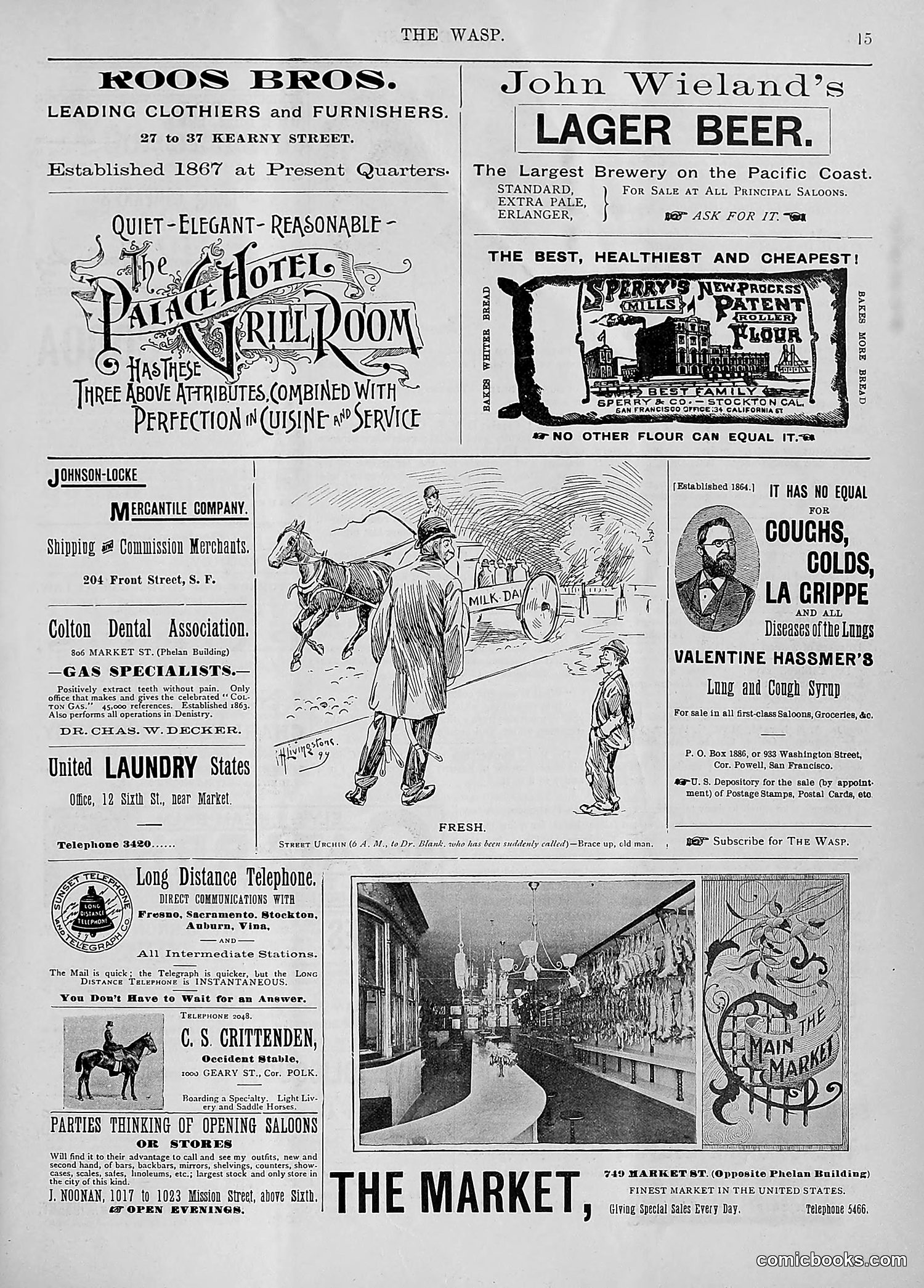 The Wasp — 1894 — page 44 of 524