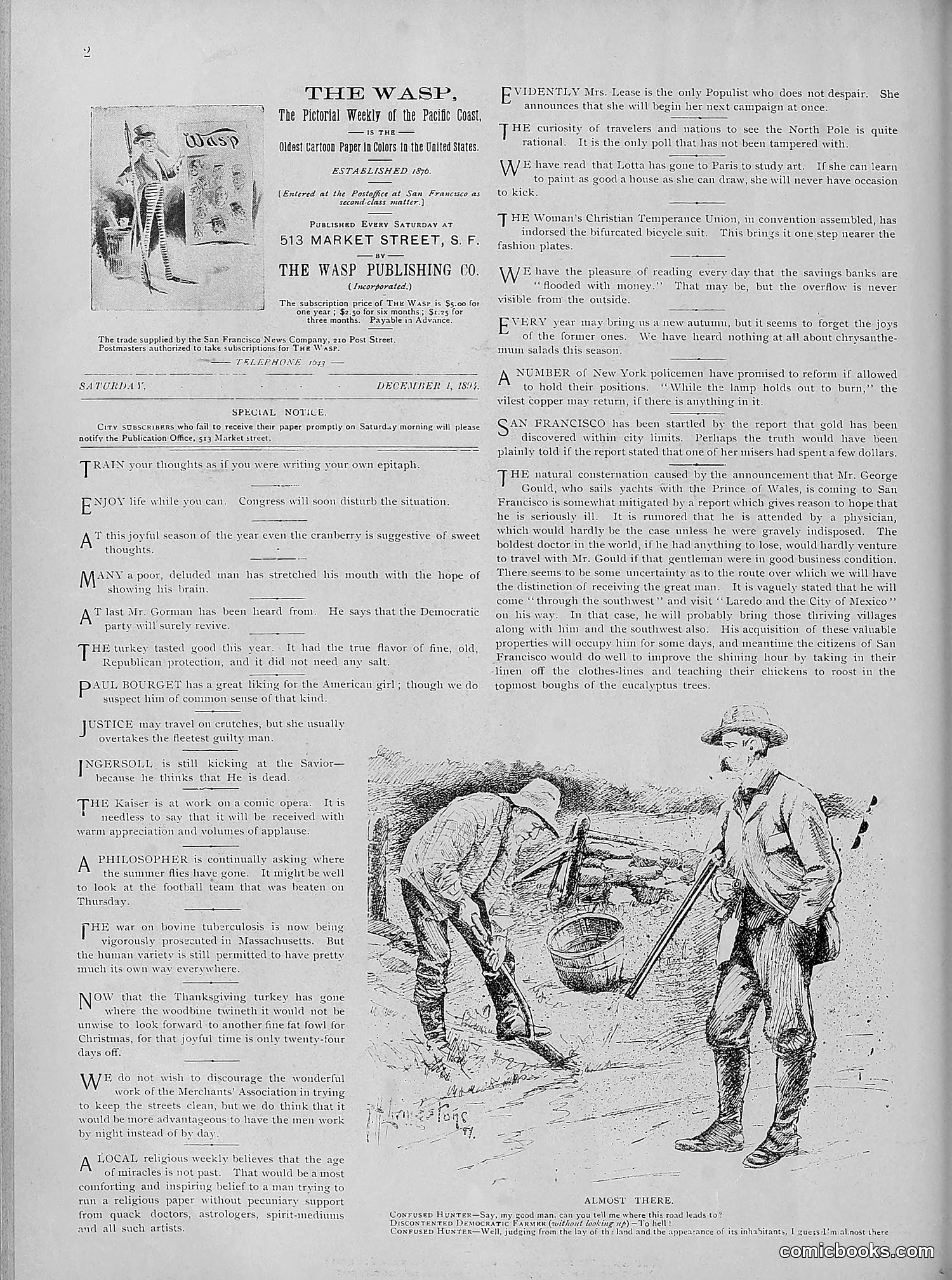 The Wasp — 1894 — page 431 of 524