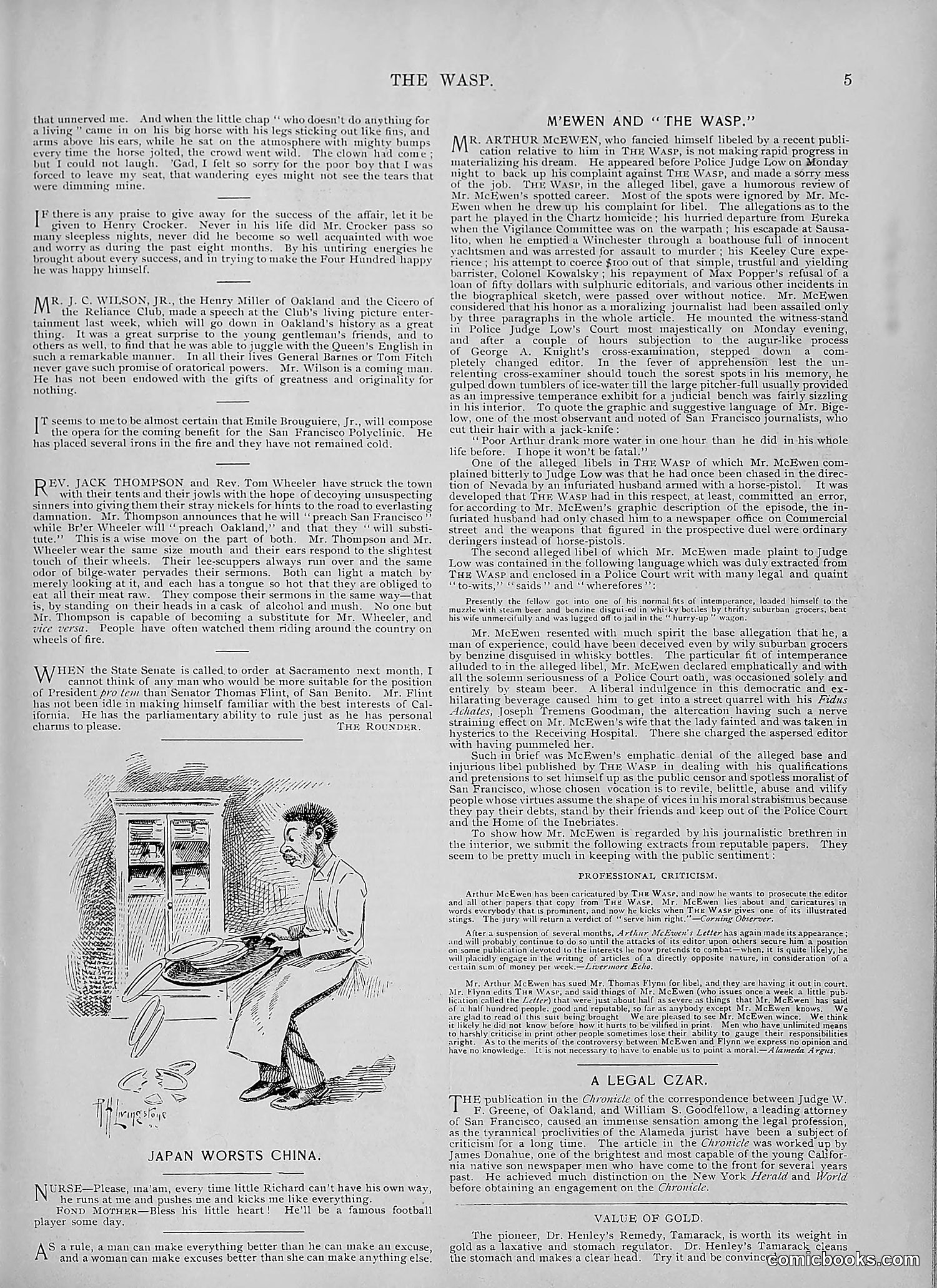 The Wasp — 1894 — page 434 of 524