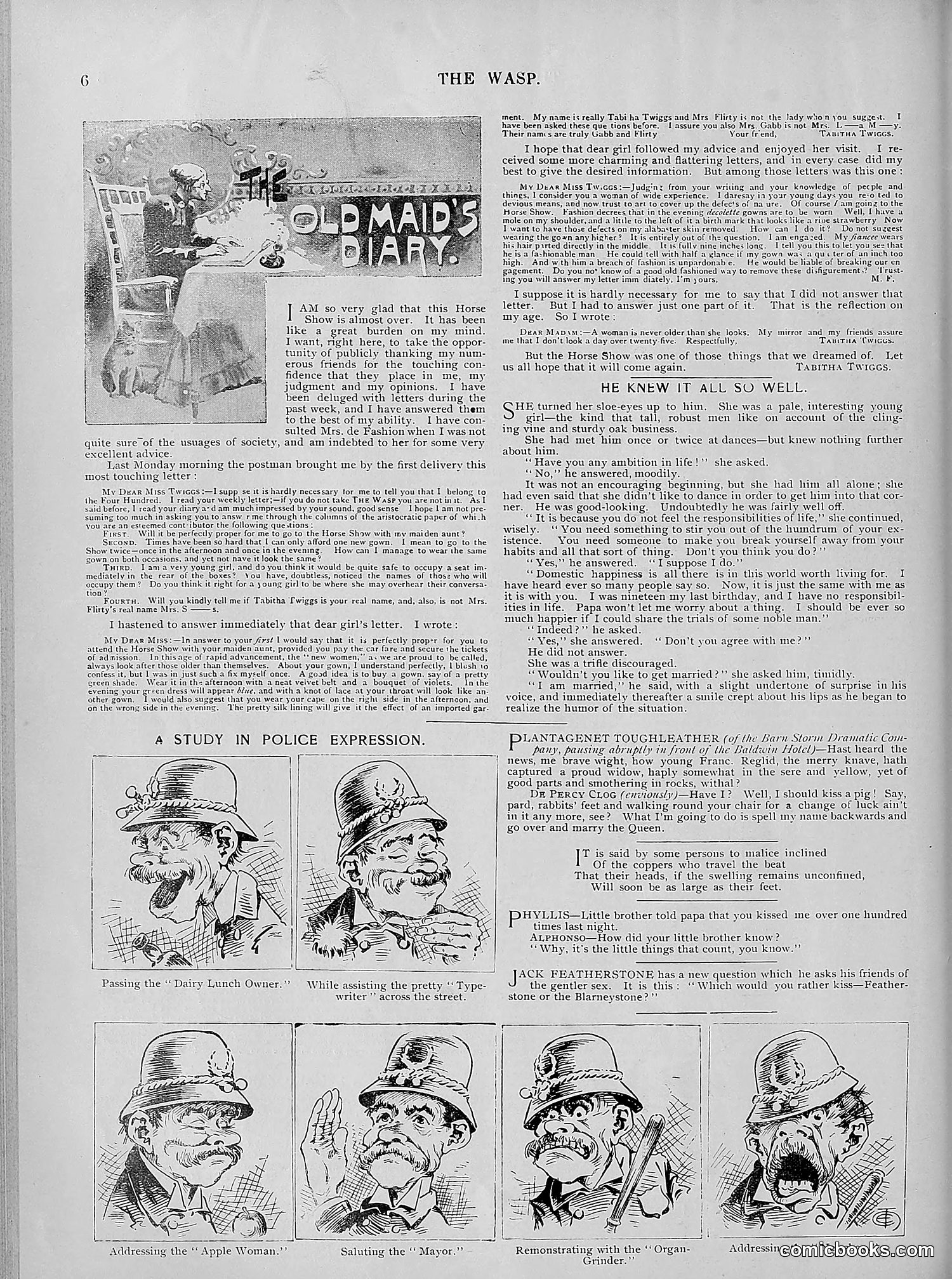 The Wasp — 1894 — page 435 of 524