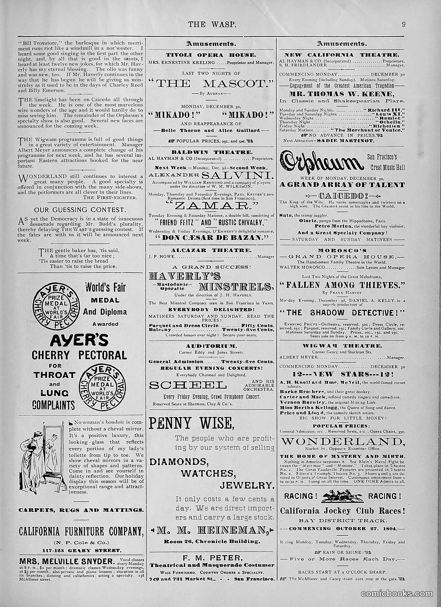 The Wasp — 1894 — page 438 of 524