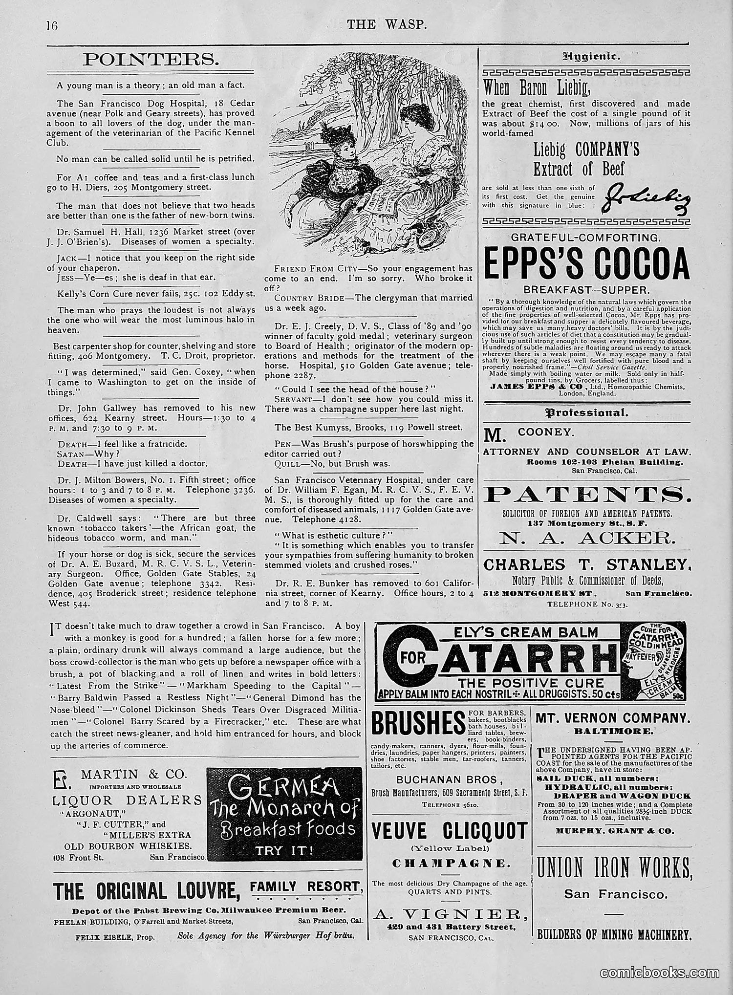 The Wasp — 1894 — page 45 of 524