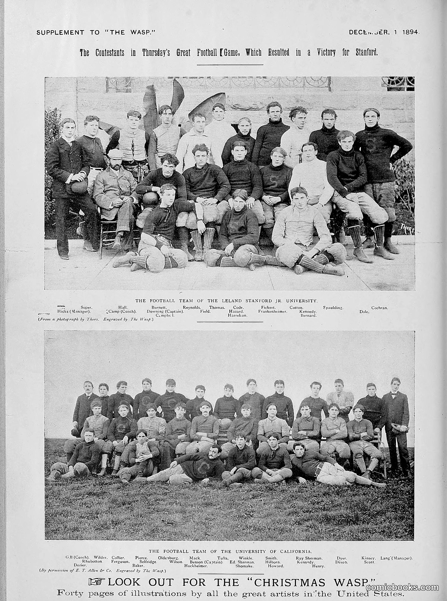 The Wasp — 1894 — page 441 of 524