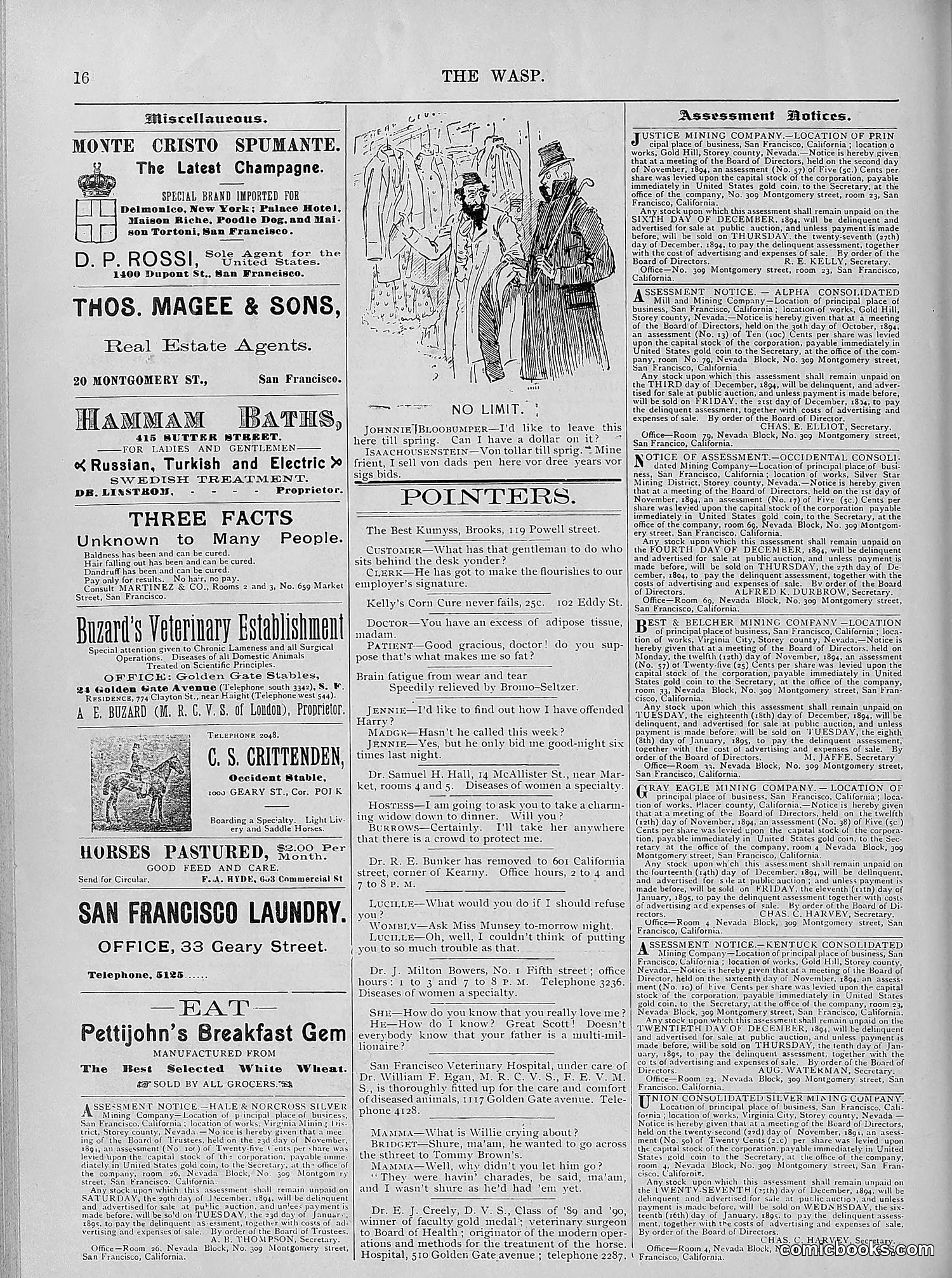 The Wasp — 1894 — page 447 of 524