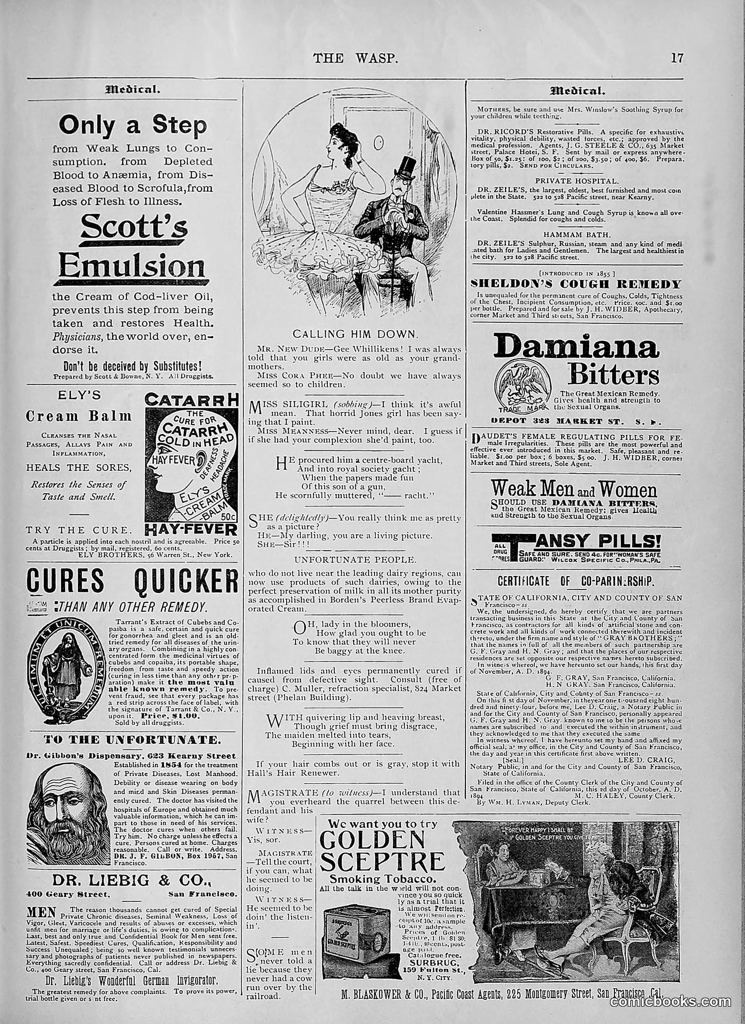 The Wasp — 1894 — page 448 of 524