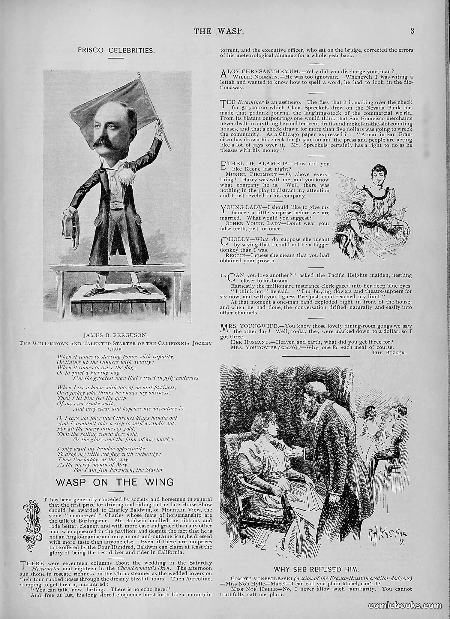 The Wasp — 1894 — page 454 of 524
